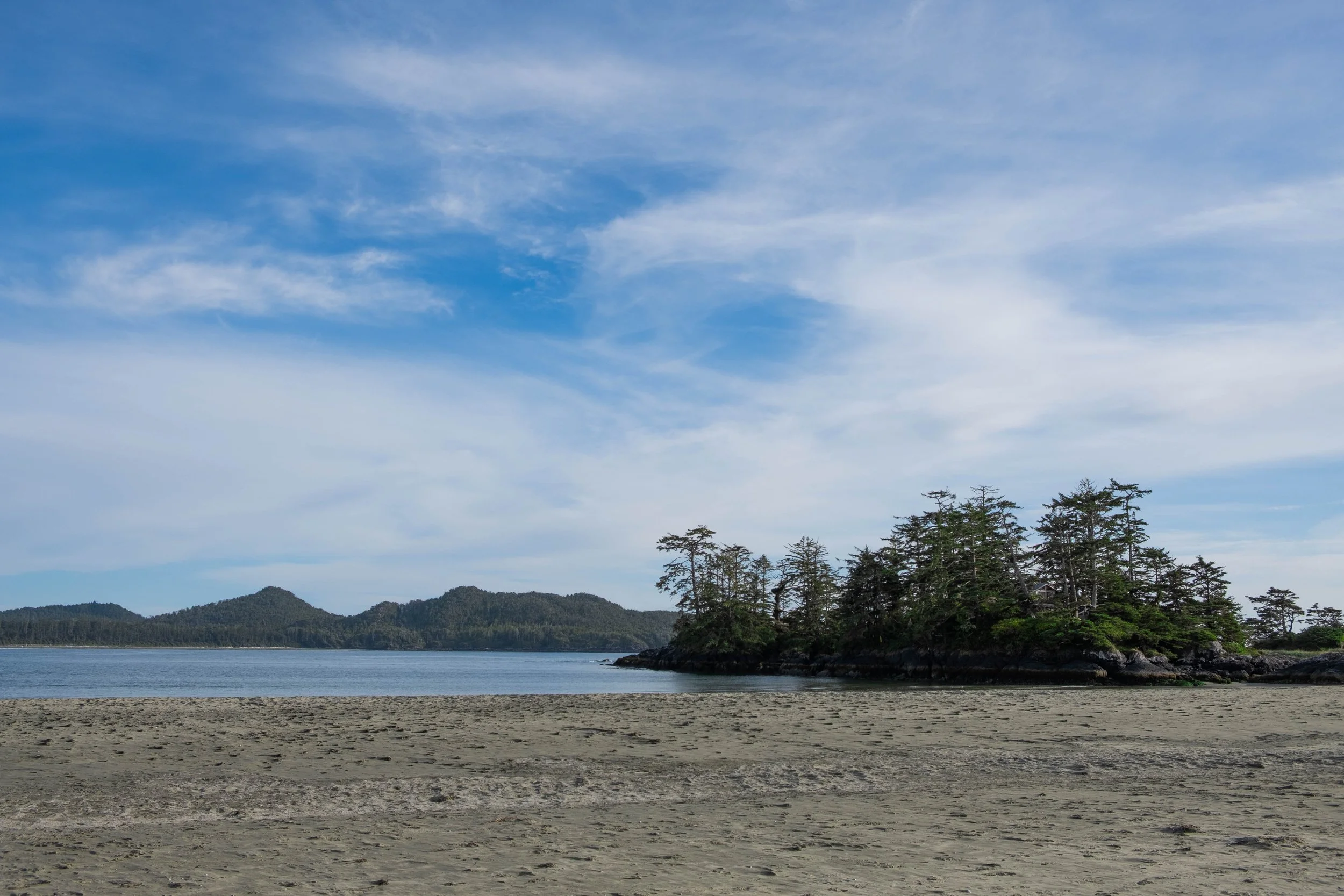 DSCF0726.jpg