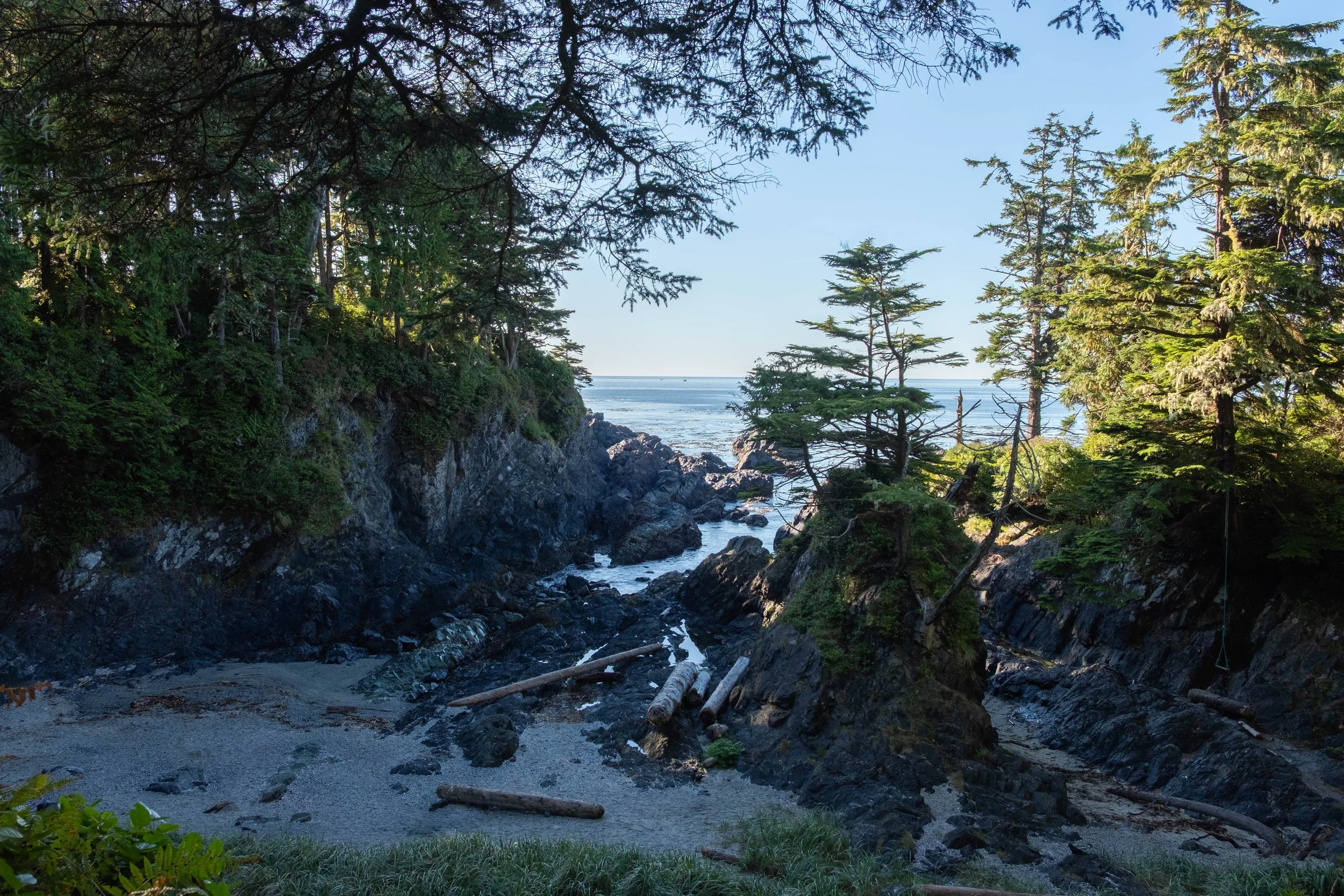 DSCF0731.jpg