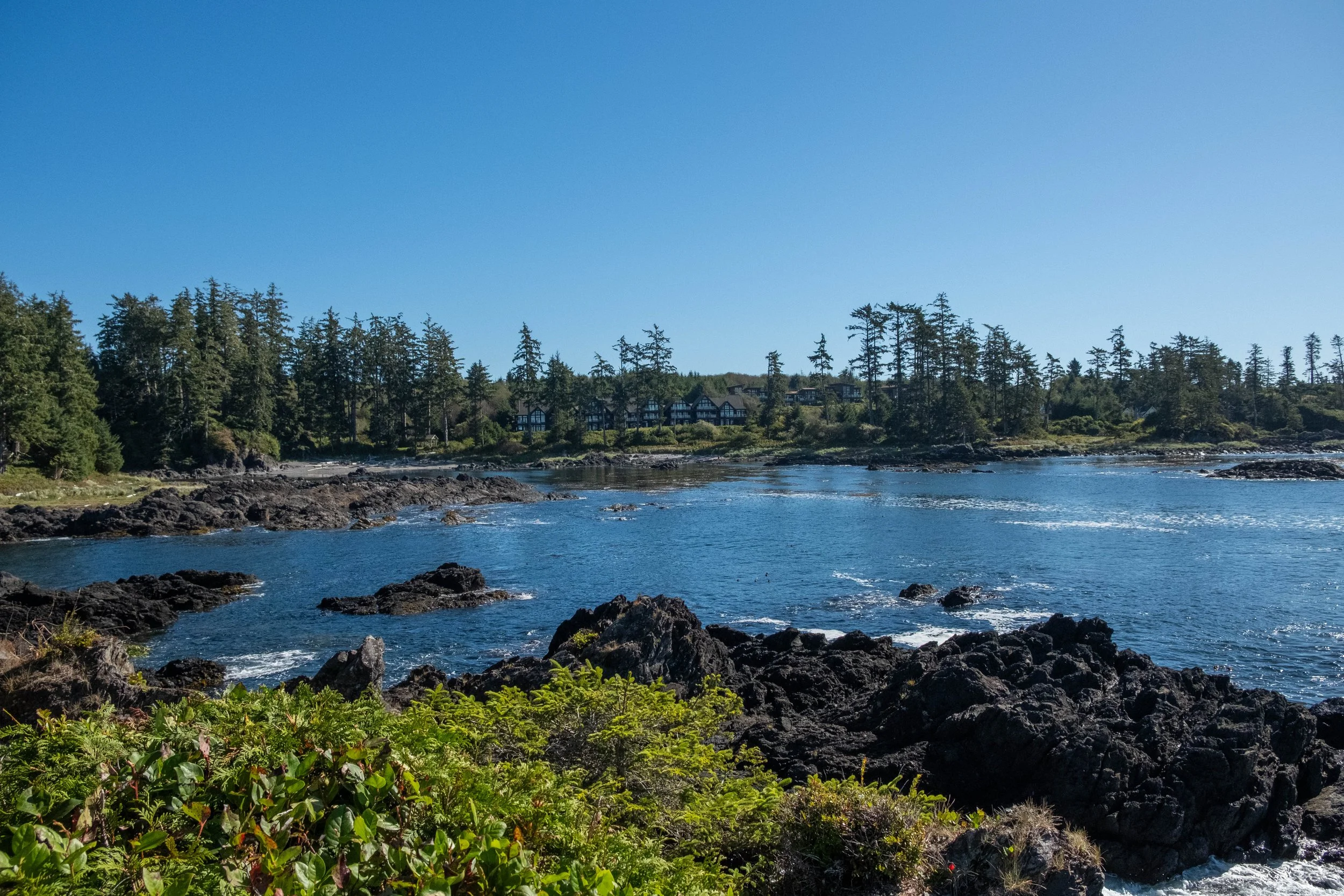 DSCF0747.jpg