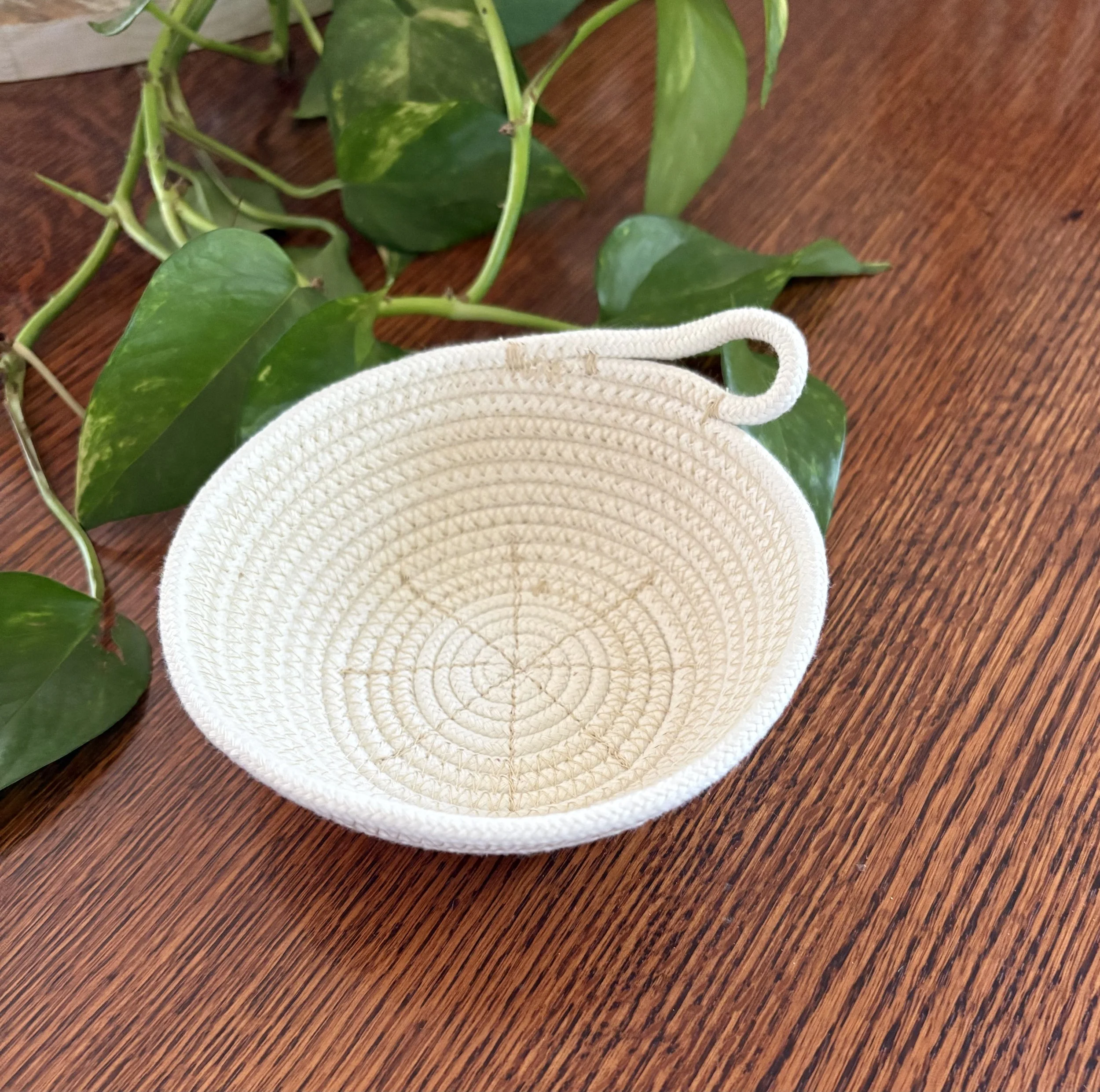 Close-up of  a small handcrafted cotton rope bowl sitting on a table next to the green leaves of a houseplant.