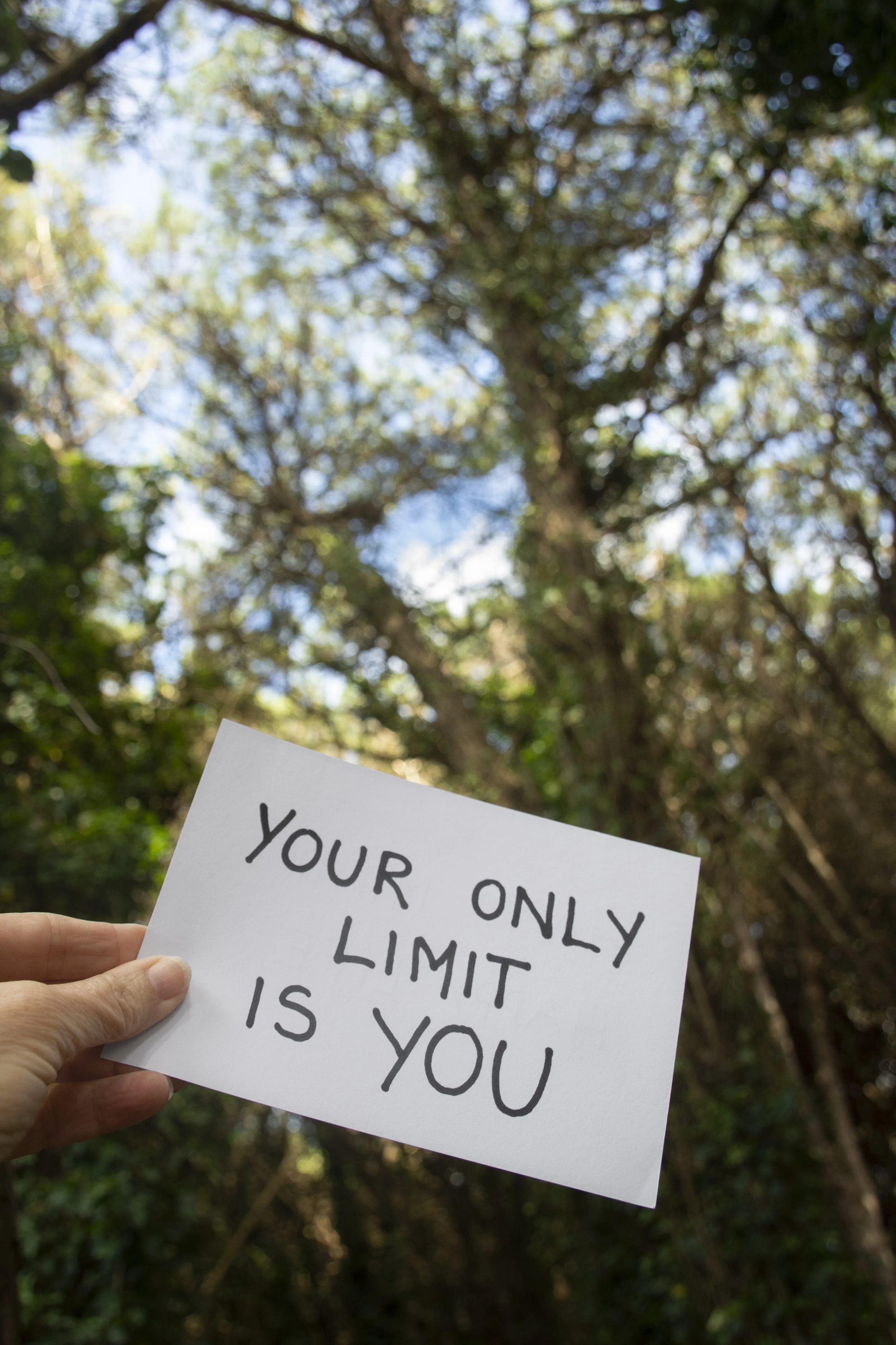 Une personne tient un panneau blanc avec le message "YOUR ONLY LIMIT IS YOU" en lettres noires, à l'extérieur avec des arbres en arrière-plan.