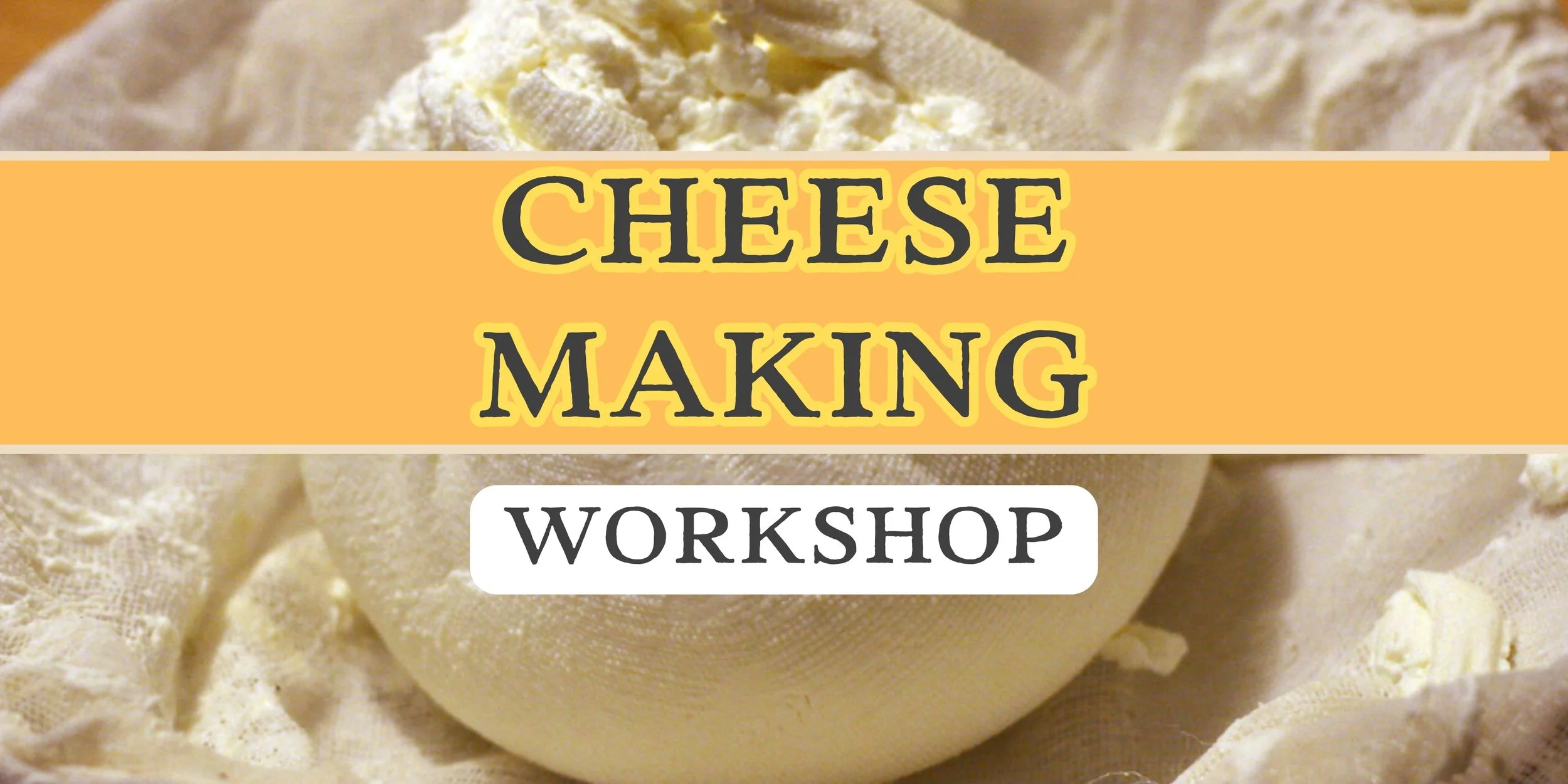 cheese making workshop.jpg