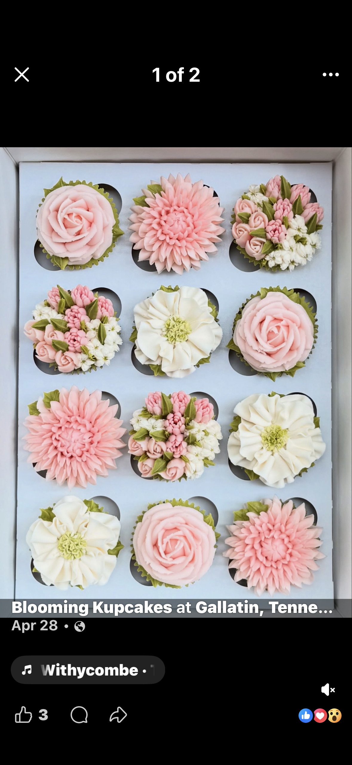 IMG_8257.PNG (Copy)