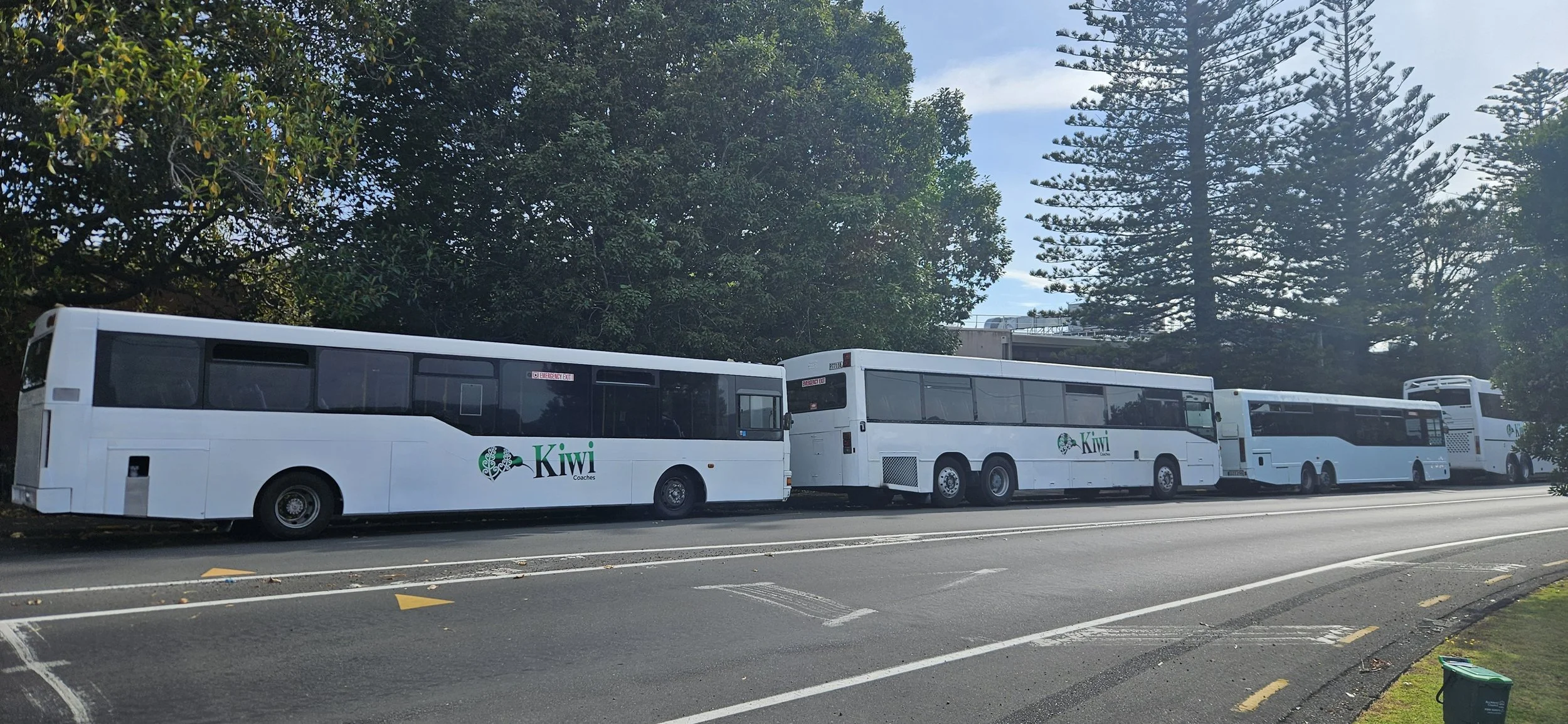 Multiple white buses parked on the side of a road with trees in the background, some with the logo and text 'Kiwi Coaches' on their sides.