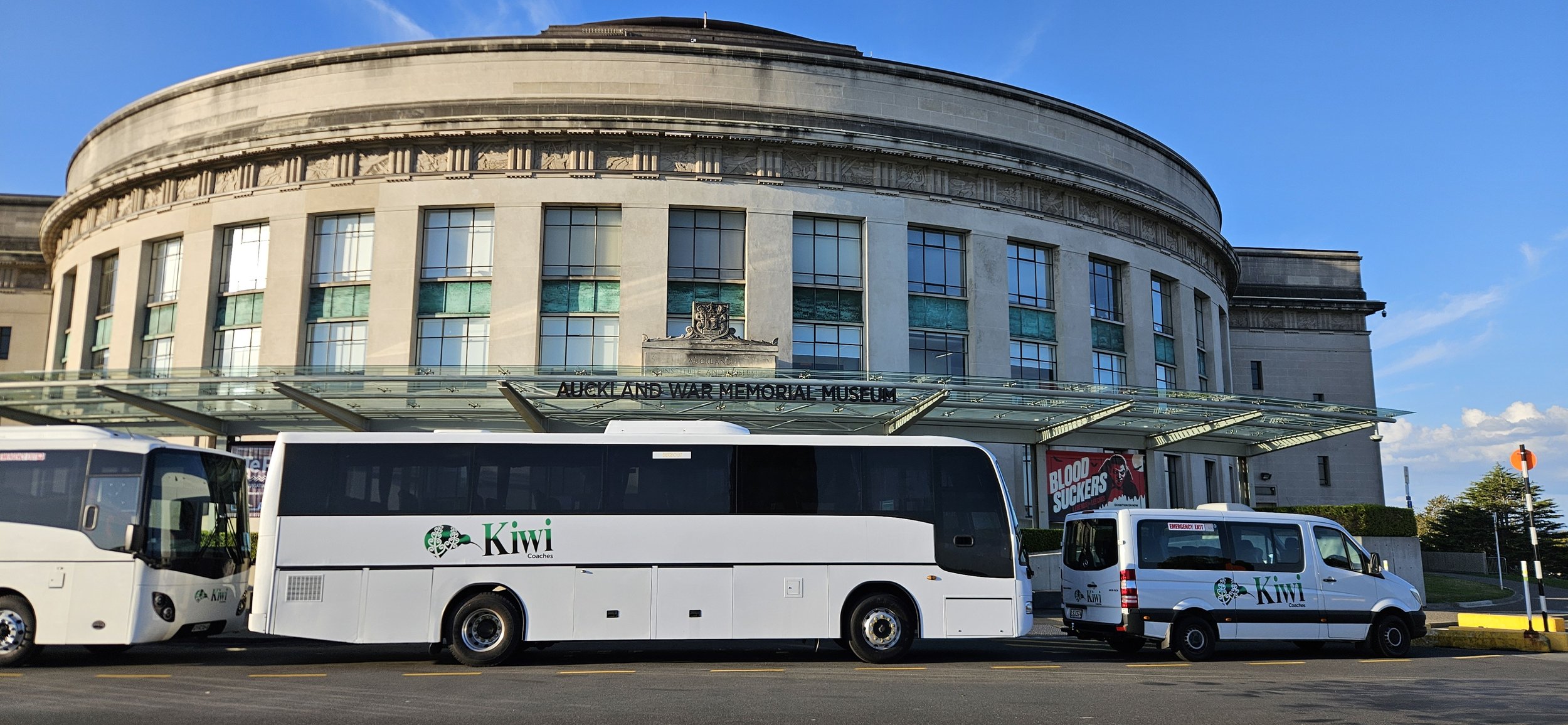Buses parked in front of the Auckland War Memorial Museum, located in a large, historic building with a rounded facade and lengthy glass awning. Some buses have the logo and name 'Kiwi Coaches' on their sides.