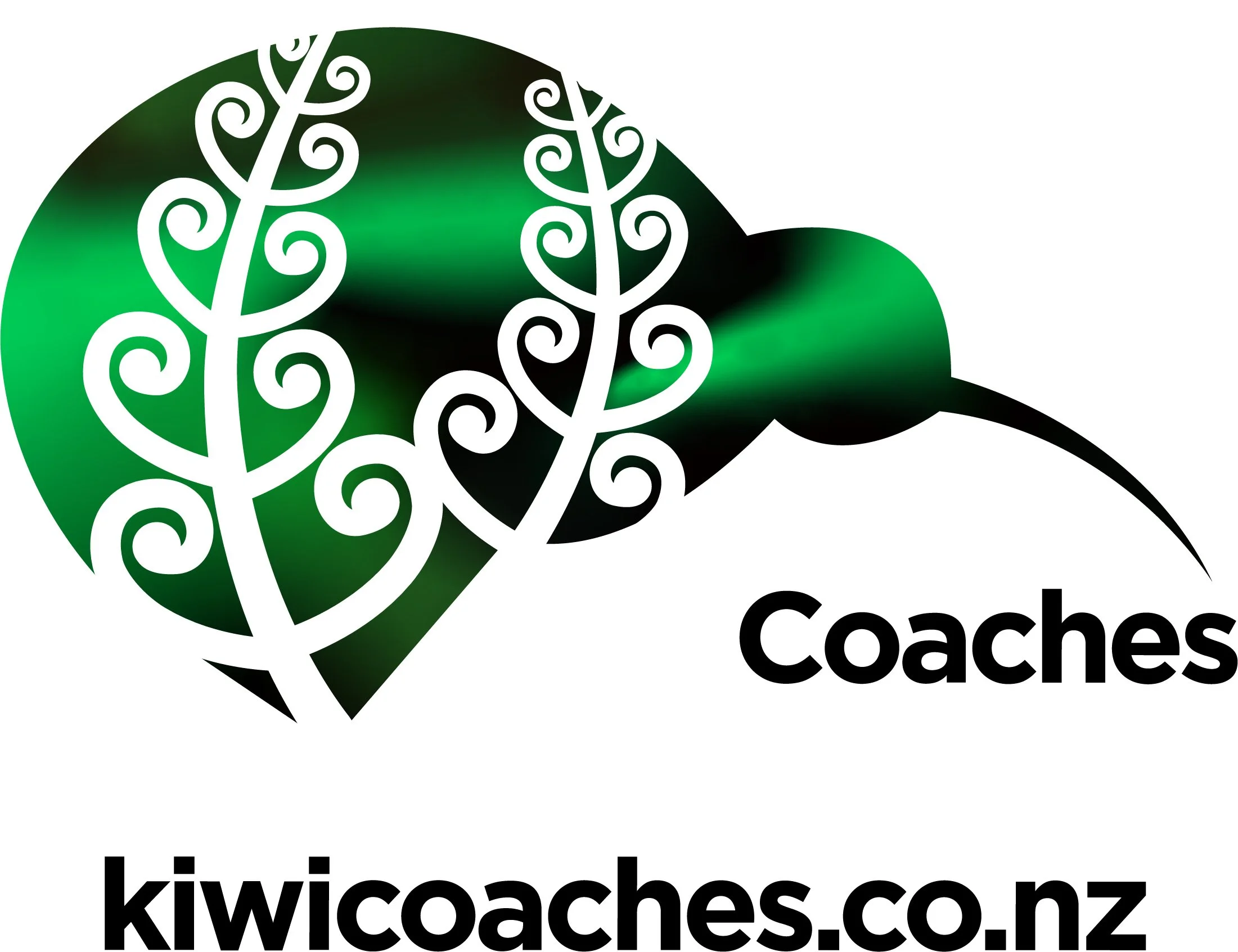 Why Kiwi Coaches Is Auckland’s Trusted Choice for Bus and Coach Hire