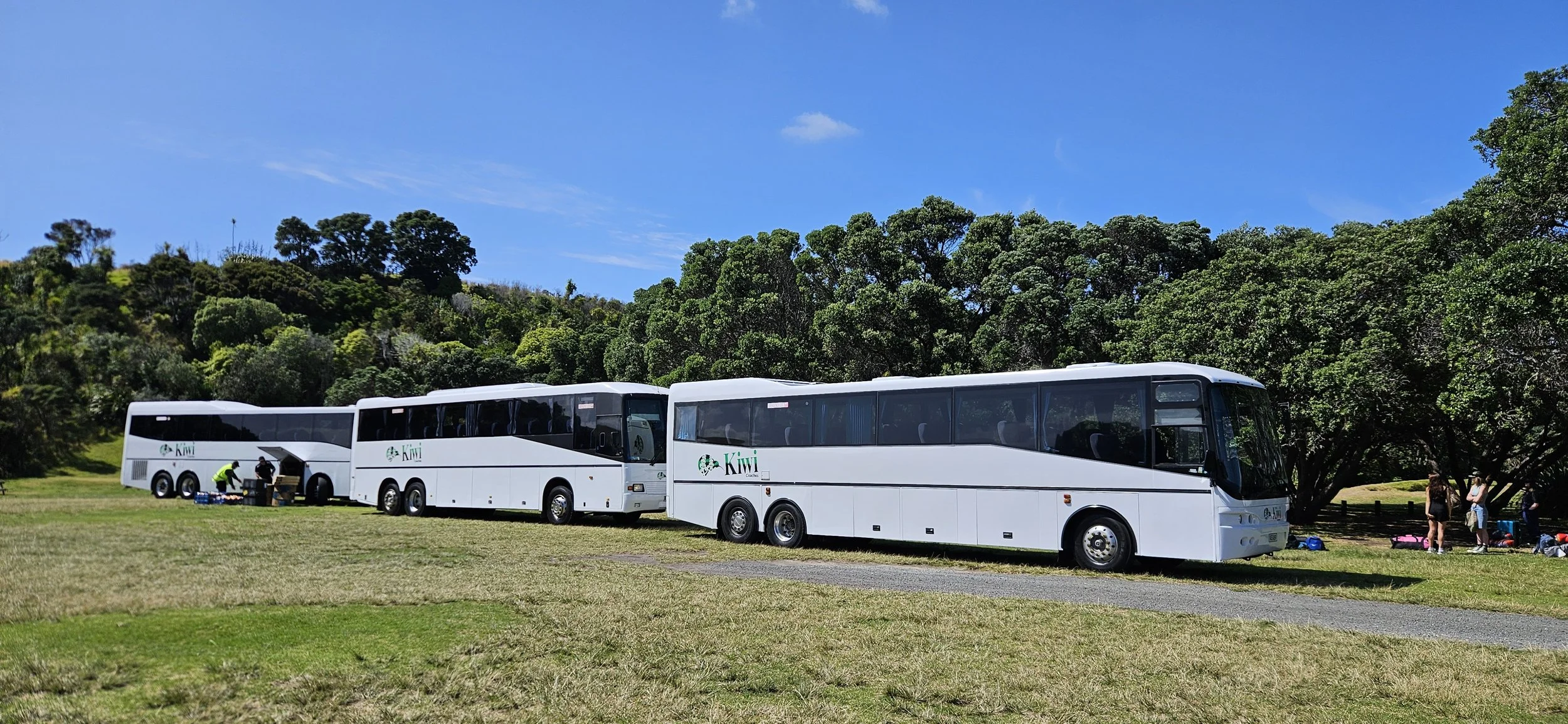 Auckland bus hire interior ideal for group transfers and event transport.