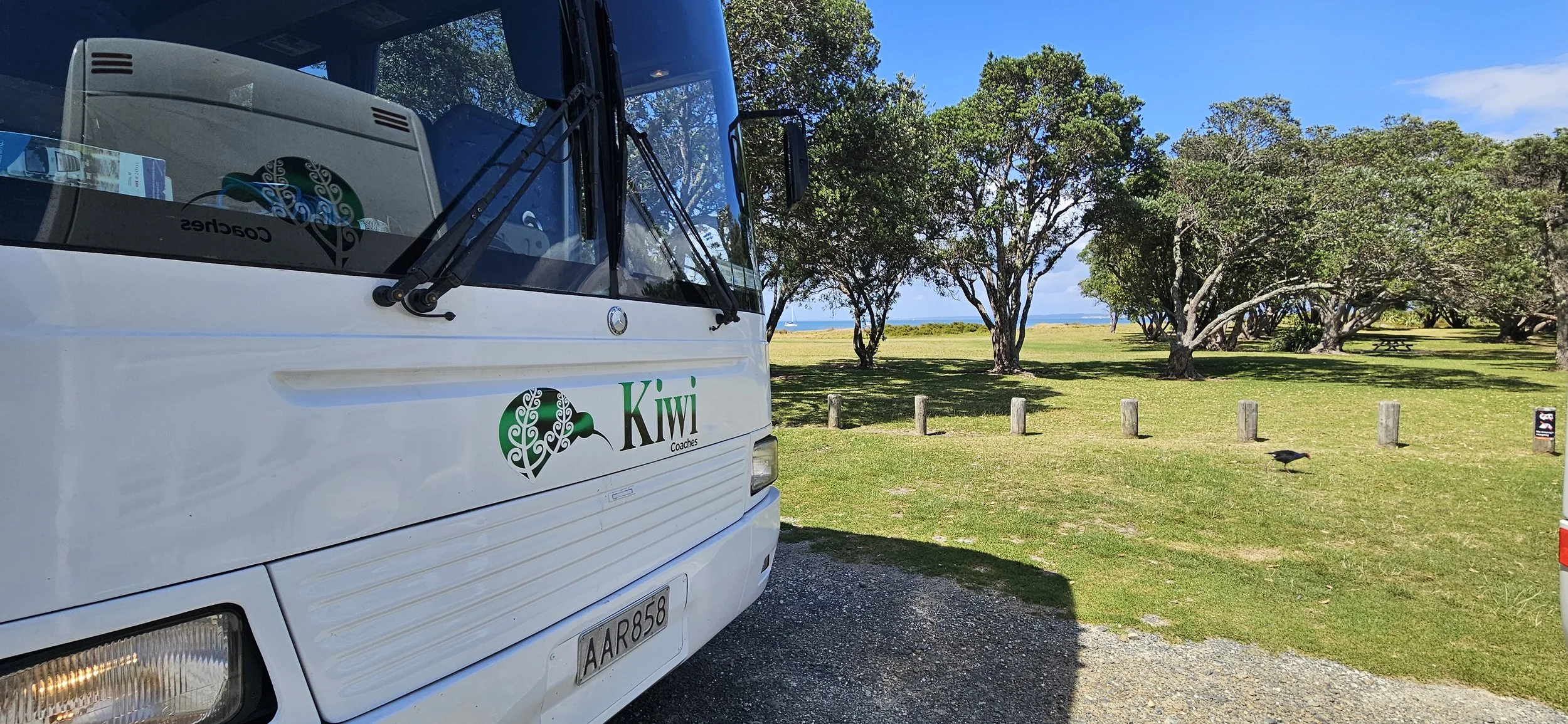 A white Kiwi Coach bus parked on a gravel path near a grassy park with trees, a black bird on the ground, and a glimpse of the ocean in the distance against a clear blue sky.