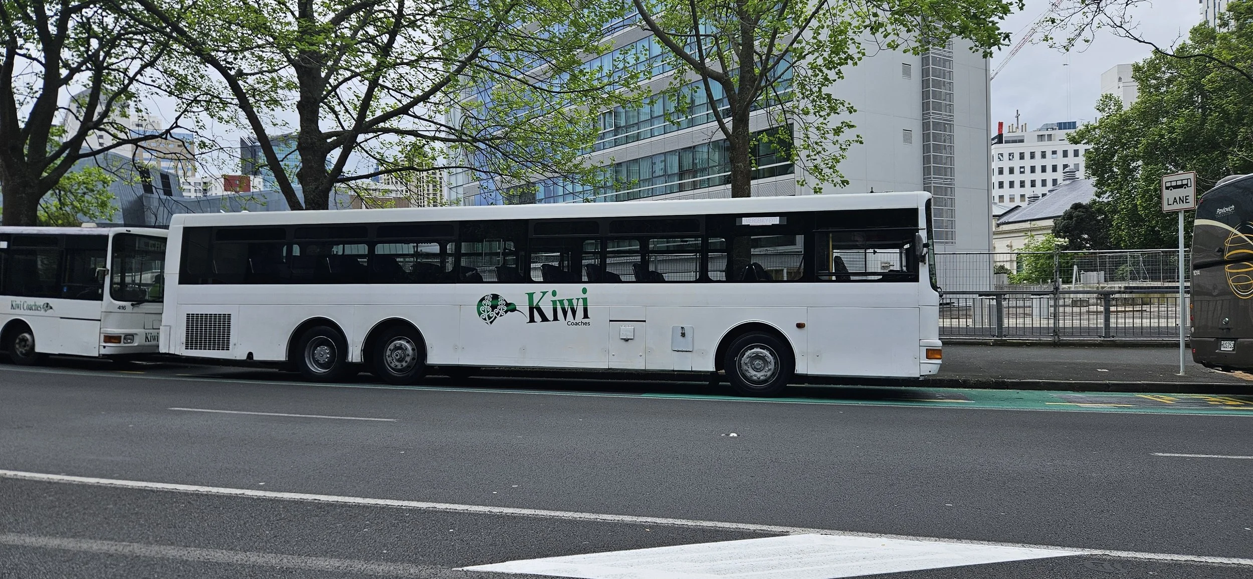 White bus with Kiwi Coaches logo parked on city street with trees and modern buildings in the background.