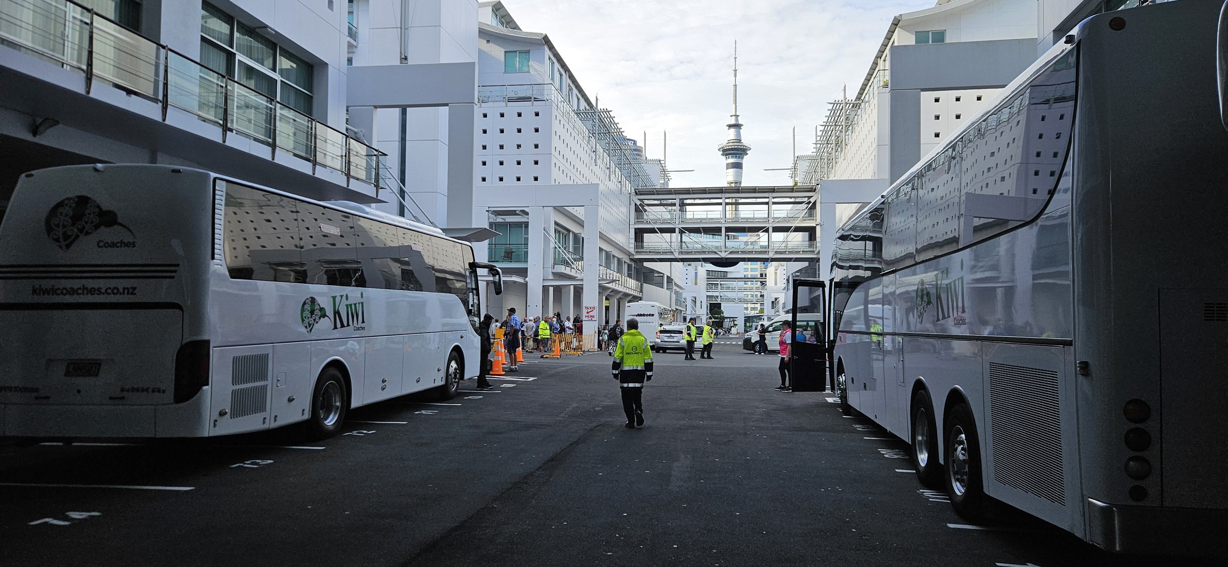 Executive coach hire Wellington for business and delegation travel.