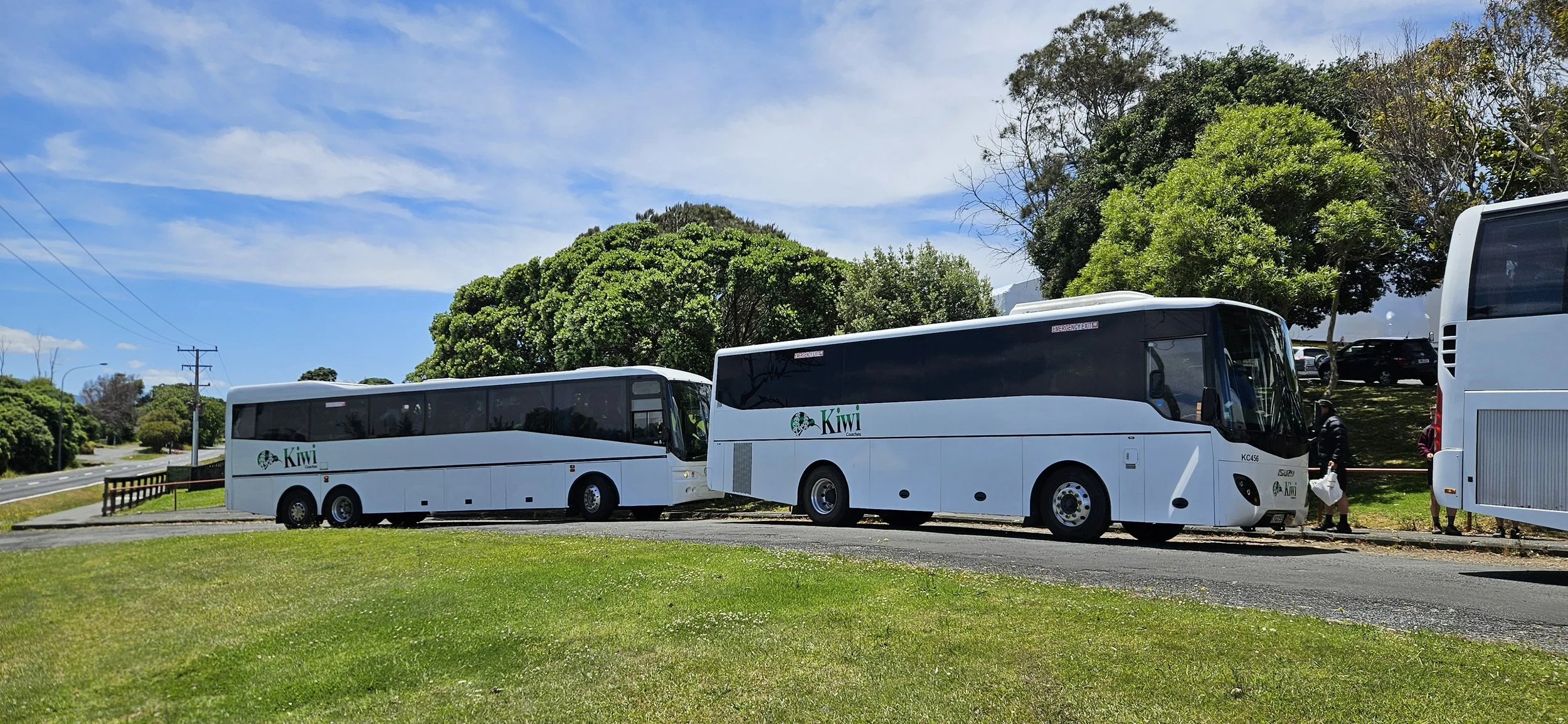 Two white Kiwi coaches parked on the side of a road with trees and grass in the background, under a partly cloudy sky.