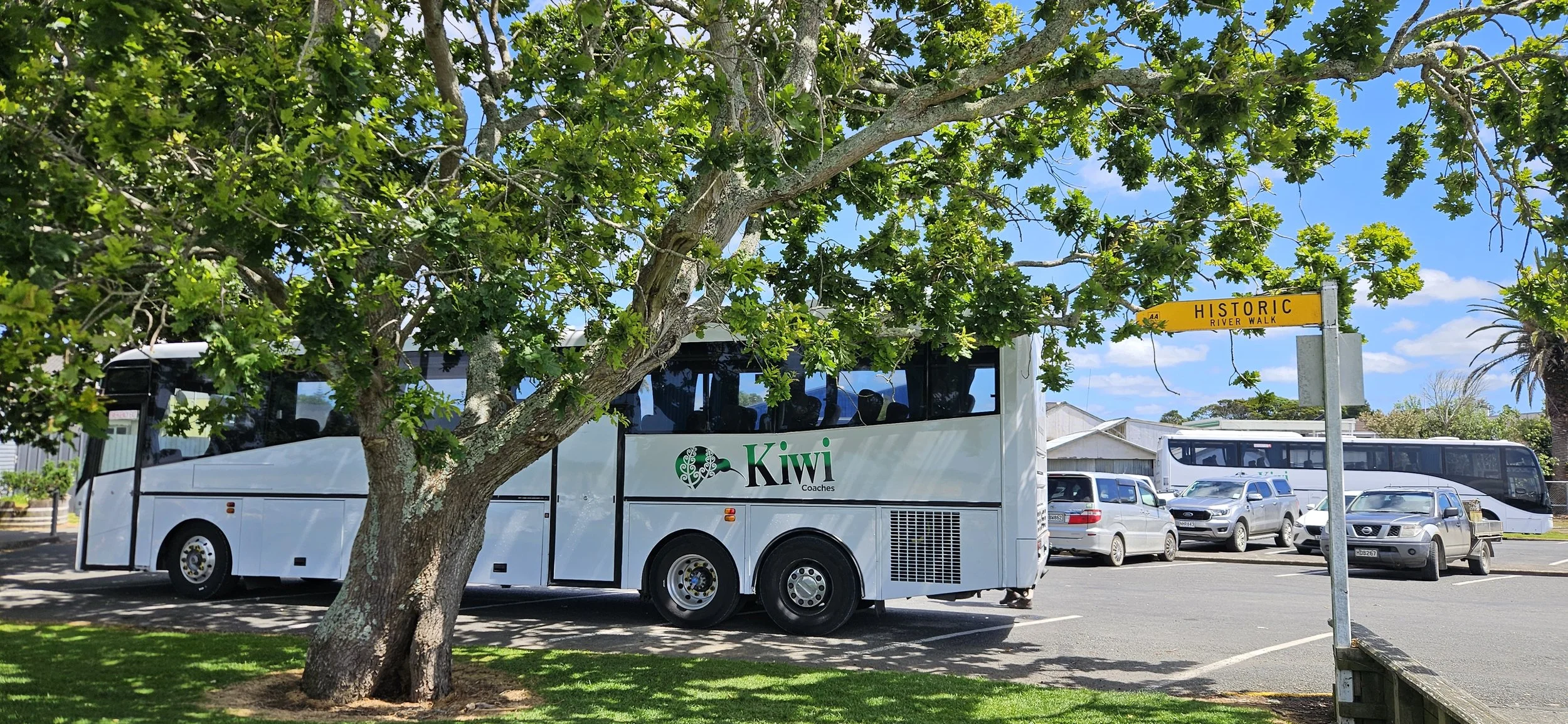 A white Kiwi Coaches bus parked in a lot with a large tree partially blocking the view. Several other vehicles are visible in the background, including another bus and cars. There is a yellow street sign that reads "HISTORIC RIVER WALK."