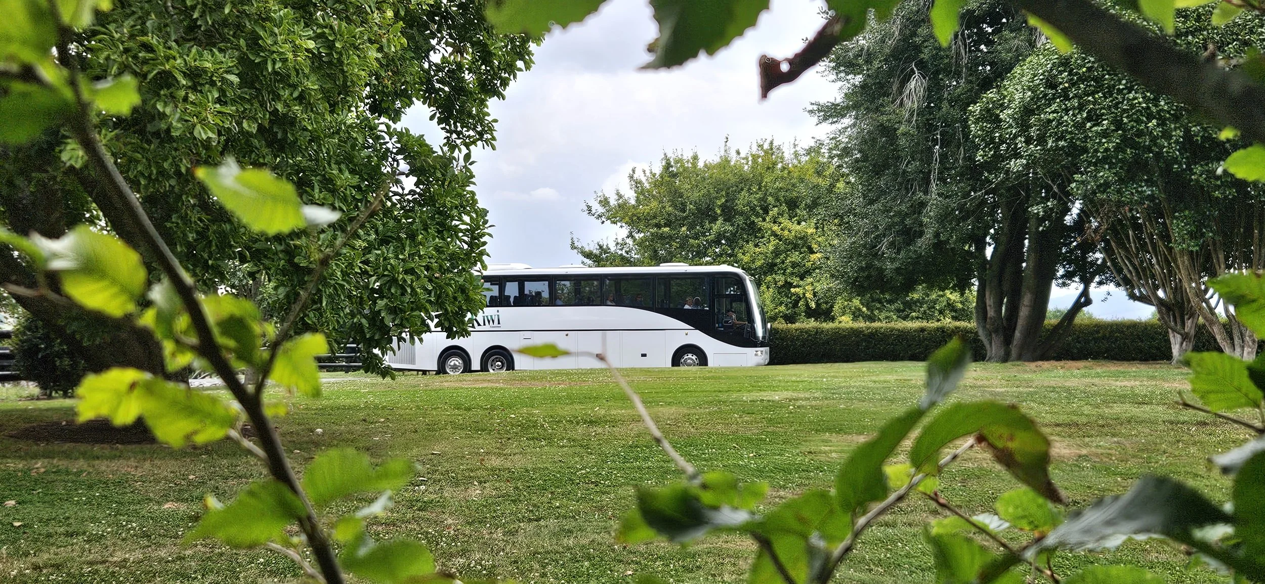 A black and white tour bus parked on a grassy area surrounded by trees, seen through leaves in the foreground.