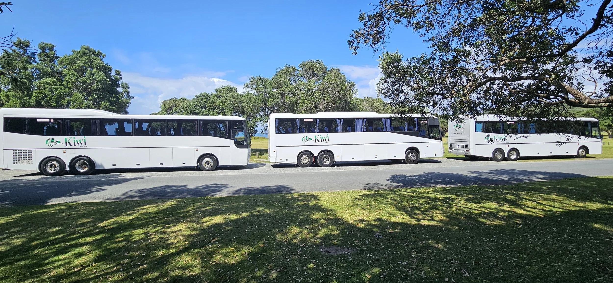 Three white buses parked side by side on a street in a park with green trees and blue sky in the background.