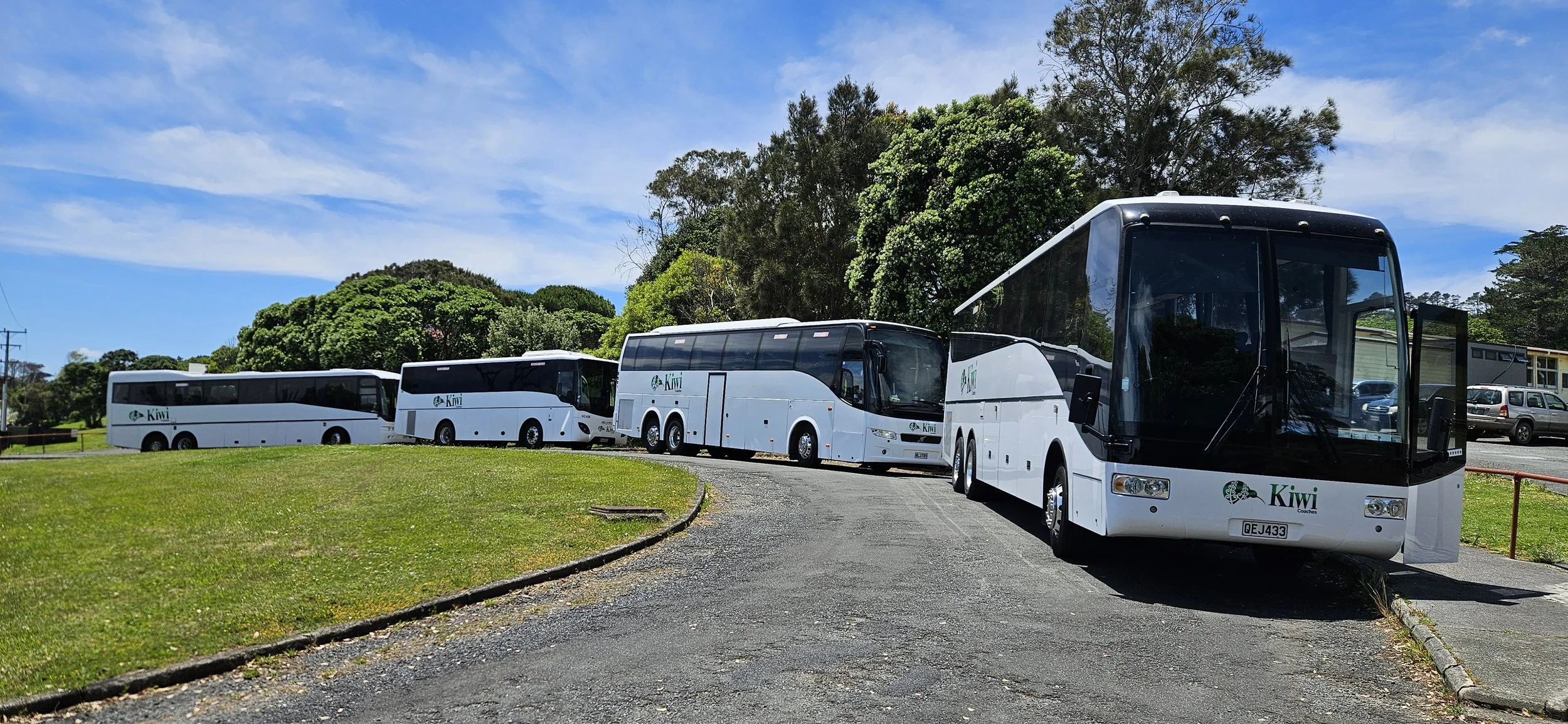 Four white Kiwi Coach buses parked on a grassy area with trees and a partly cloudy sky in the background.