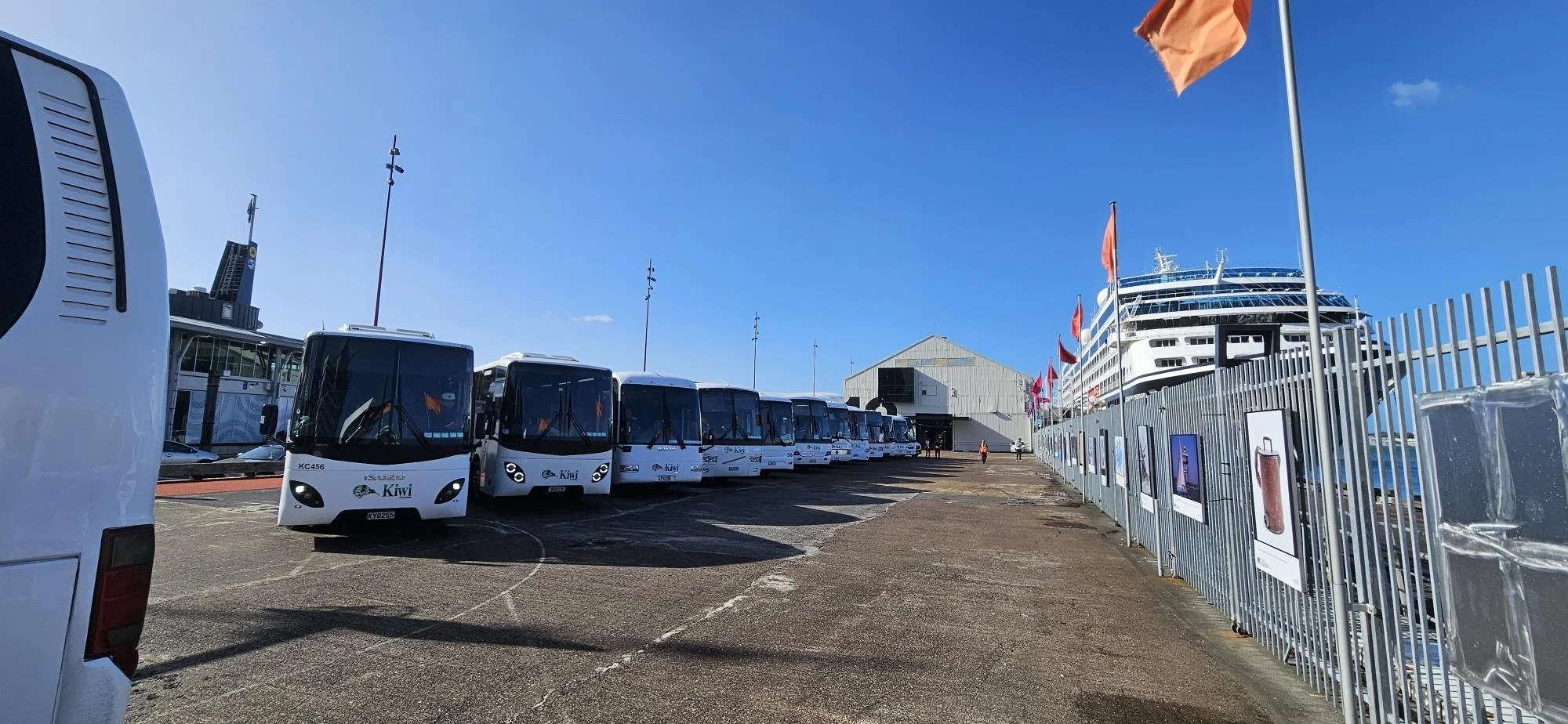 Multiple white buses labeled 'Kiwi' parked in a row at a port, with a large cruise ship docked behind a tall fence topped with orange flags, under a clear blue sky.