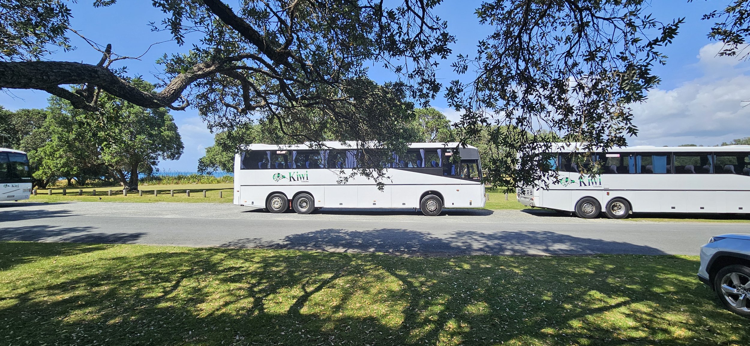 Two white tour buses parked on a road with green trees and grass, and a blue sky in the background.