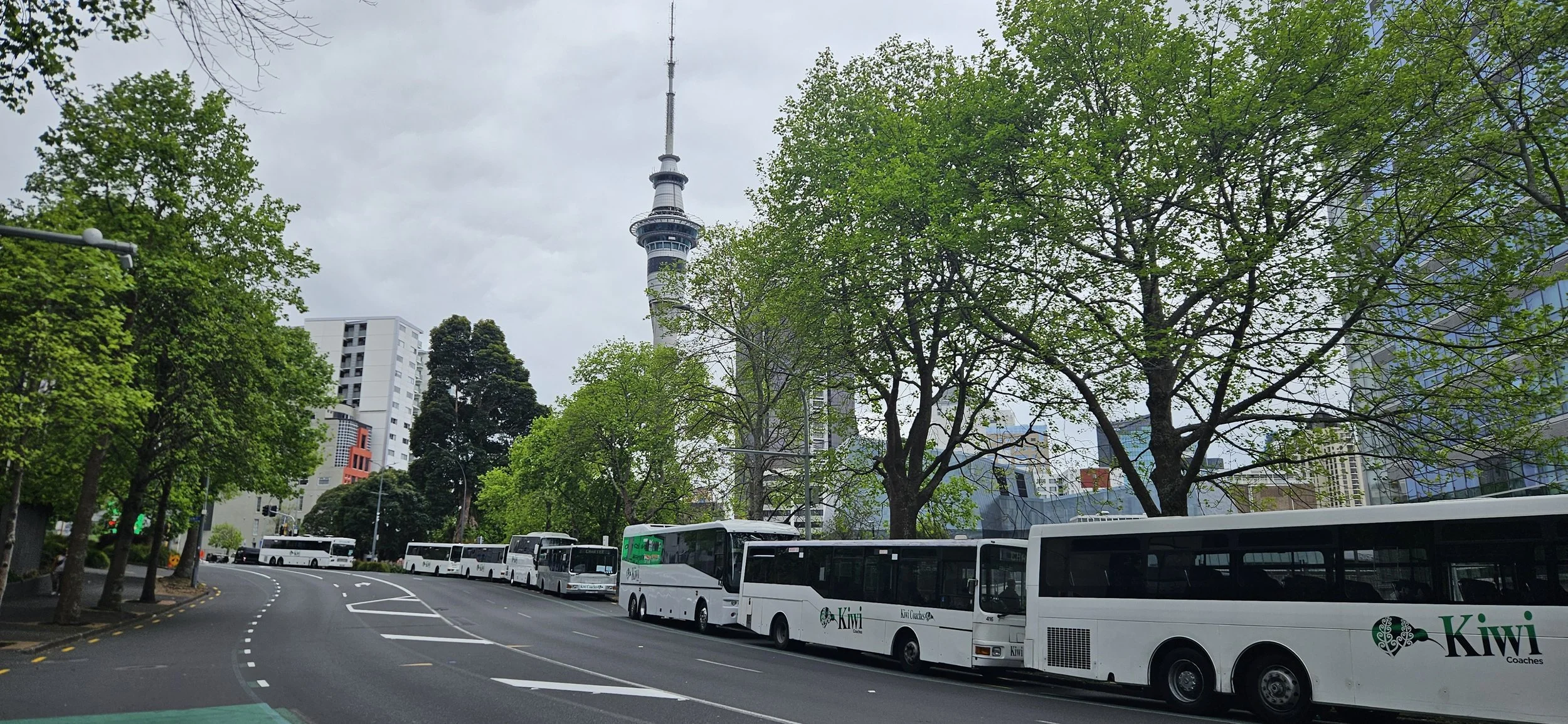 Clean and spacious urban bus interior serving Auckland school and community transport