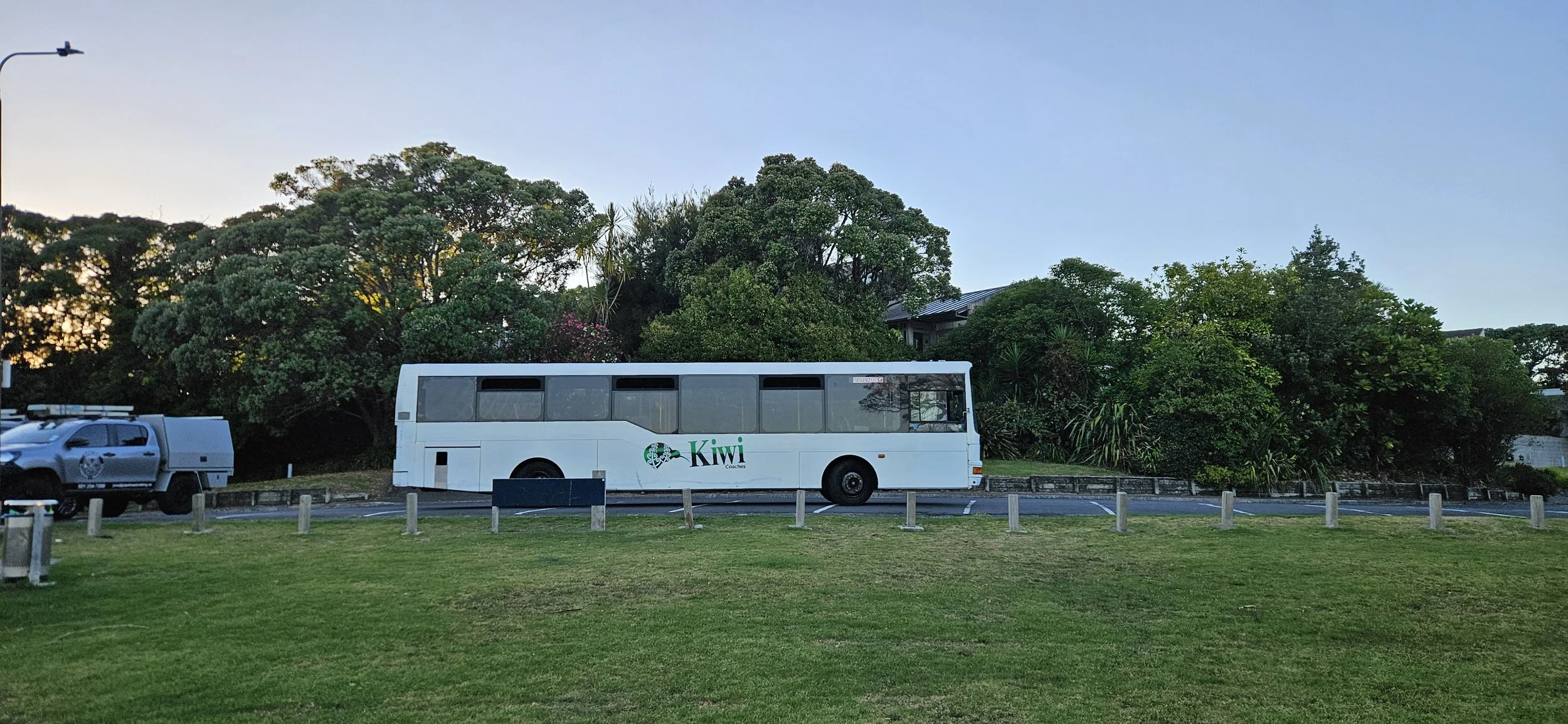 A white bus with the logo 'Kiwi Coaches' parked in a lot beside green trees, with a grassy foreground and a blue sky in the background.