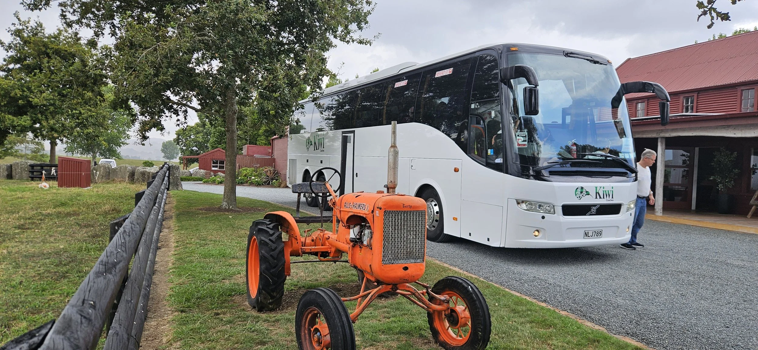 An orange antique tractor parked on a grassy area next to a black wooden fence, with a modern white tour bus labeled 'Kiwi Coaches' nearby on a gravel driveway, and a man walking by in front of a red building surrounded by trees.