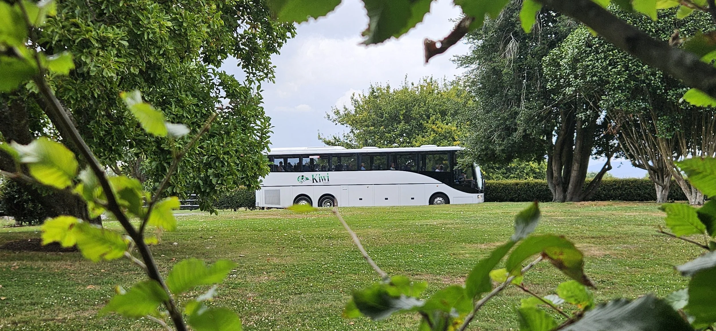 A white Kiwi tour bus parked on a grassy area, partially framed by green leaves and trees, under a partly cloudy sky.