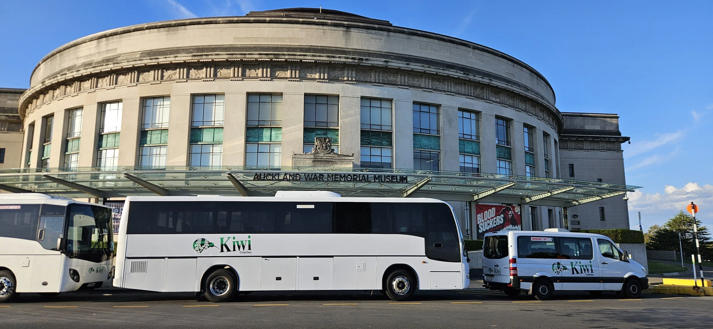 Buses parked in front of Auckland War Memorial Museum on a sunny day.
