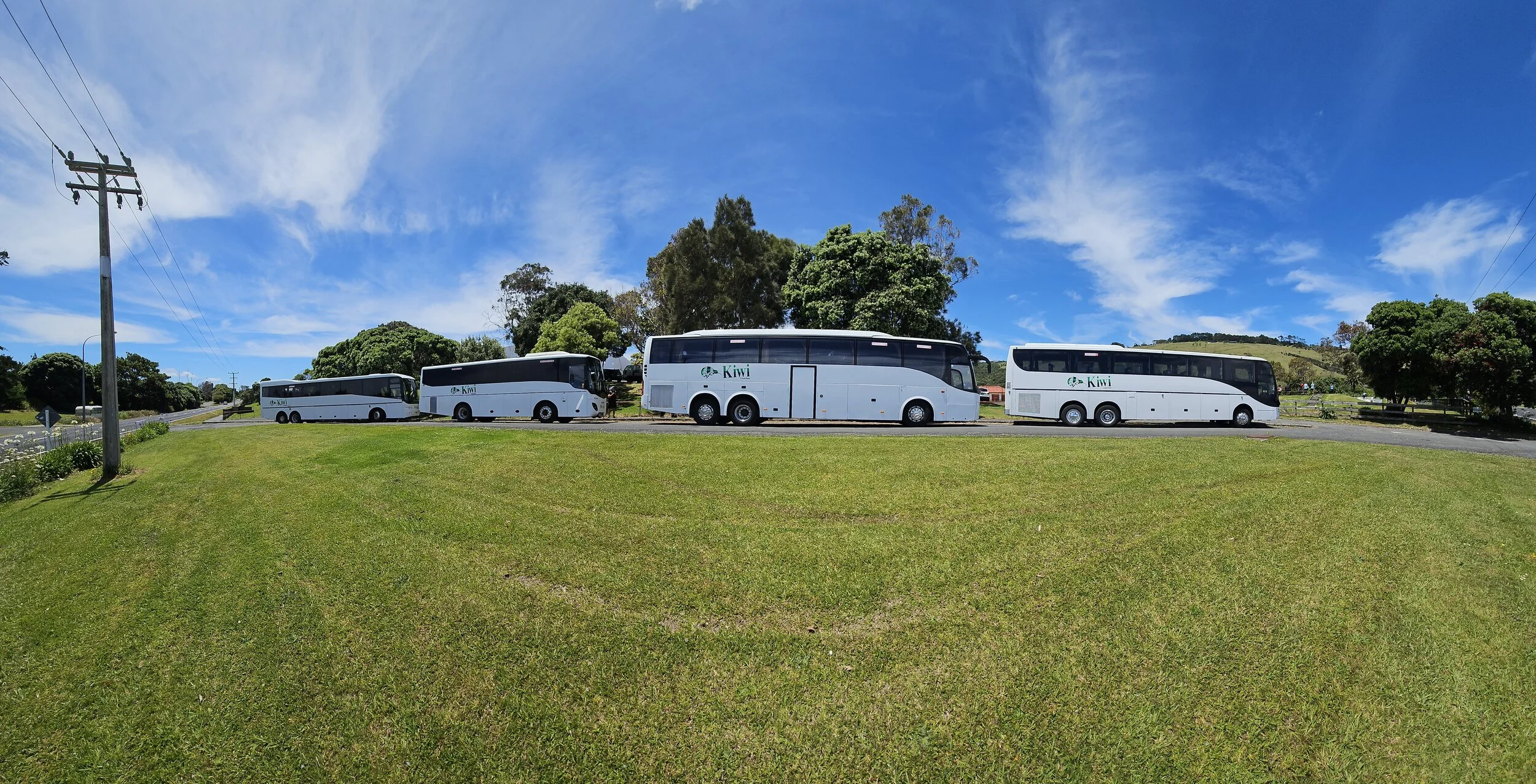 Four white buses parked in a row on a grassy area under a blue sky with some clouds, with trees and power lines nearby.