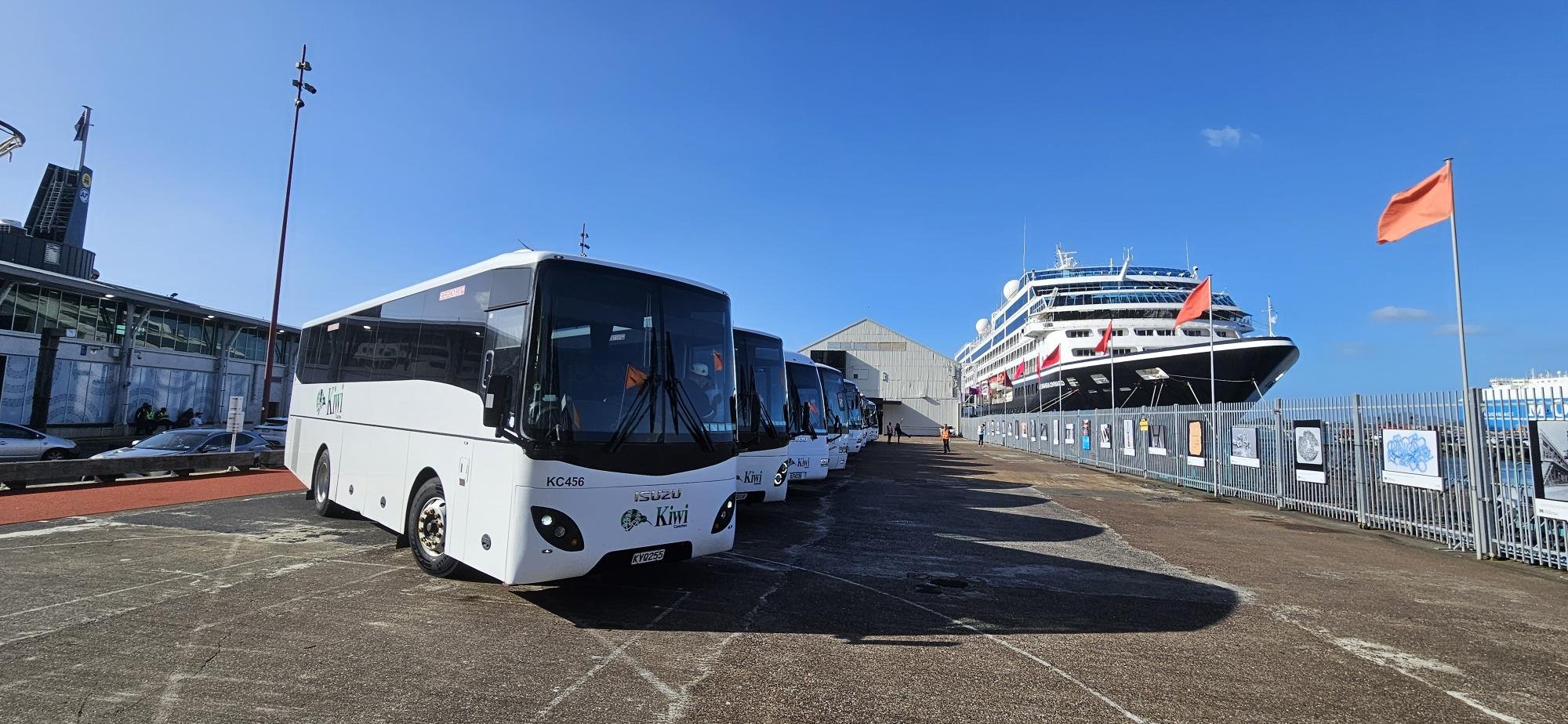 Multiple white and black scheduled passenger shuttles labeled with Kiwi and Isuzu logos are parked at a cruise terminal. A large cruise ship is docked behind a fence decorated with flags and artwork, under clear blue skies.