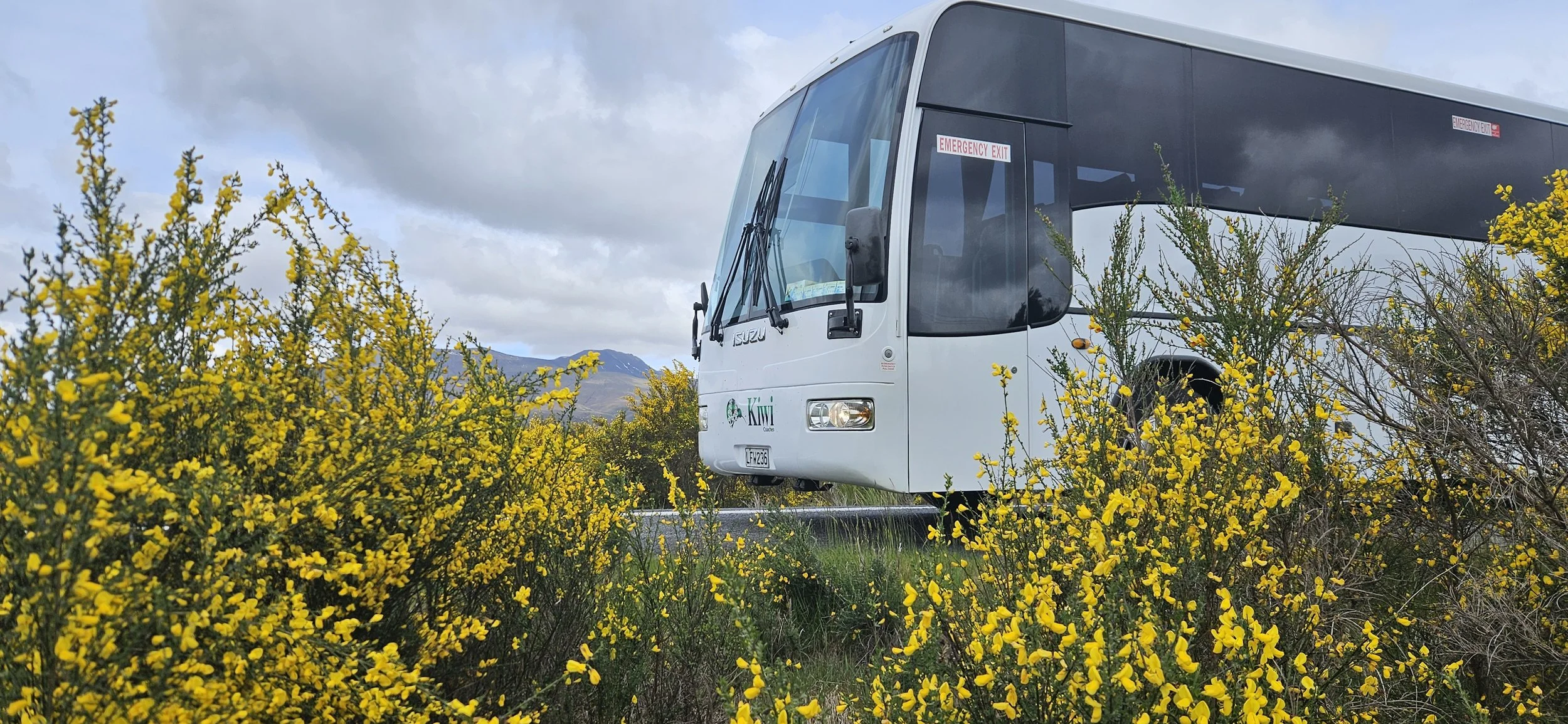 South Island coach operator servicing Christchurch and beyond.