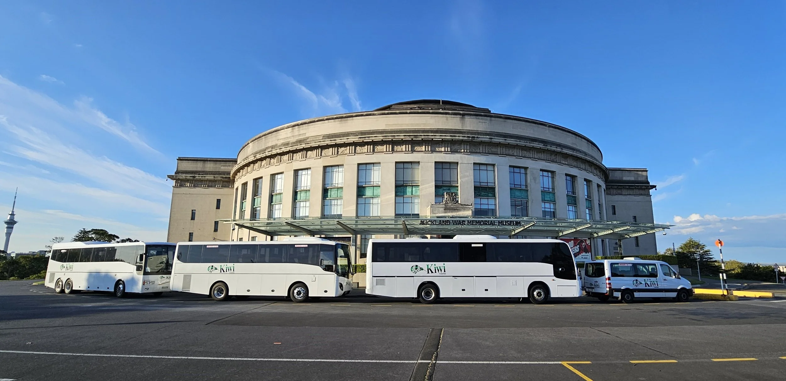 Multiple white Kiwi buses and a white van parked in front of the Auckland War Memorial Museum, a large historic building with a rounded facade, under a blue sky with some clouds.