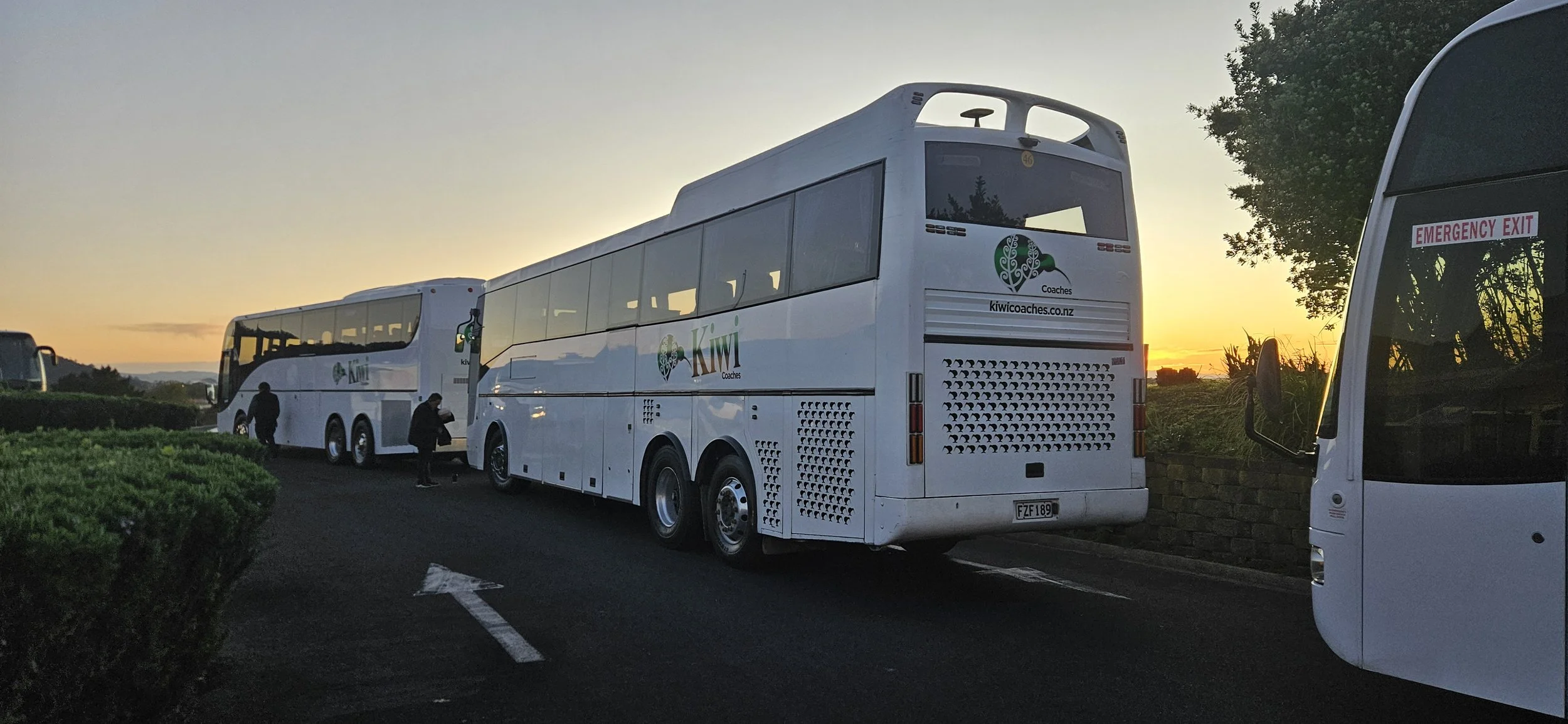 Two white Kiwi Coaches buses parked on the side of a road at sunset, with a person standing near the first bus, greenery in the foreground, and a sunset sky in the background.
