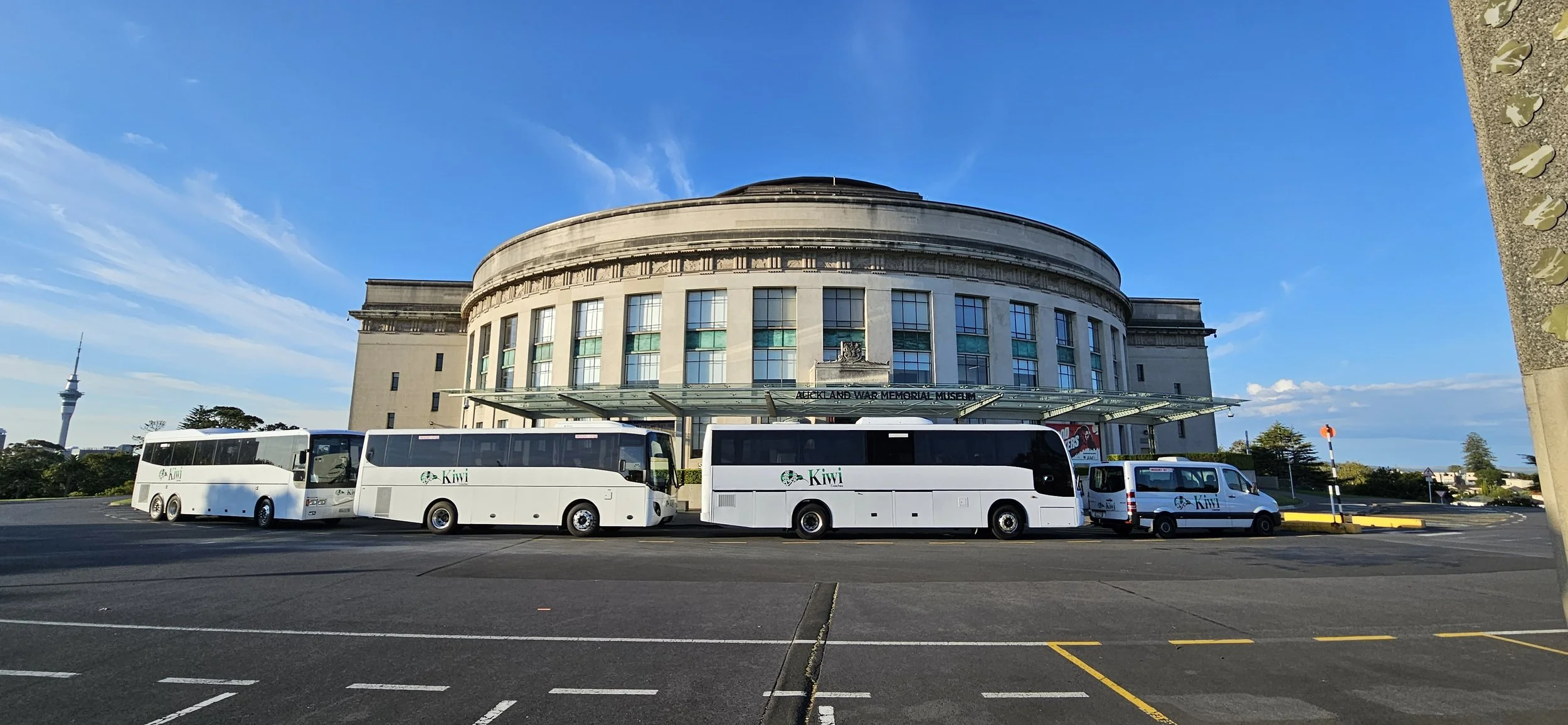 Front view of the Auckland War Memorial Museum with three white Kiwi buses parked in front.