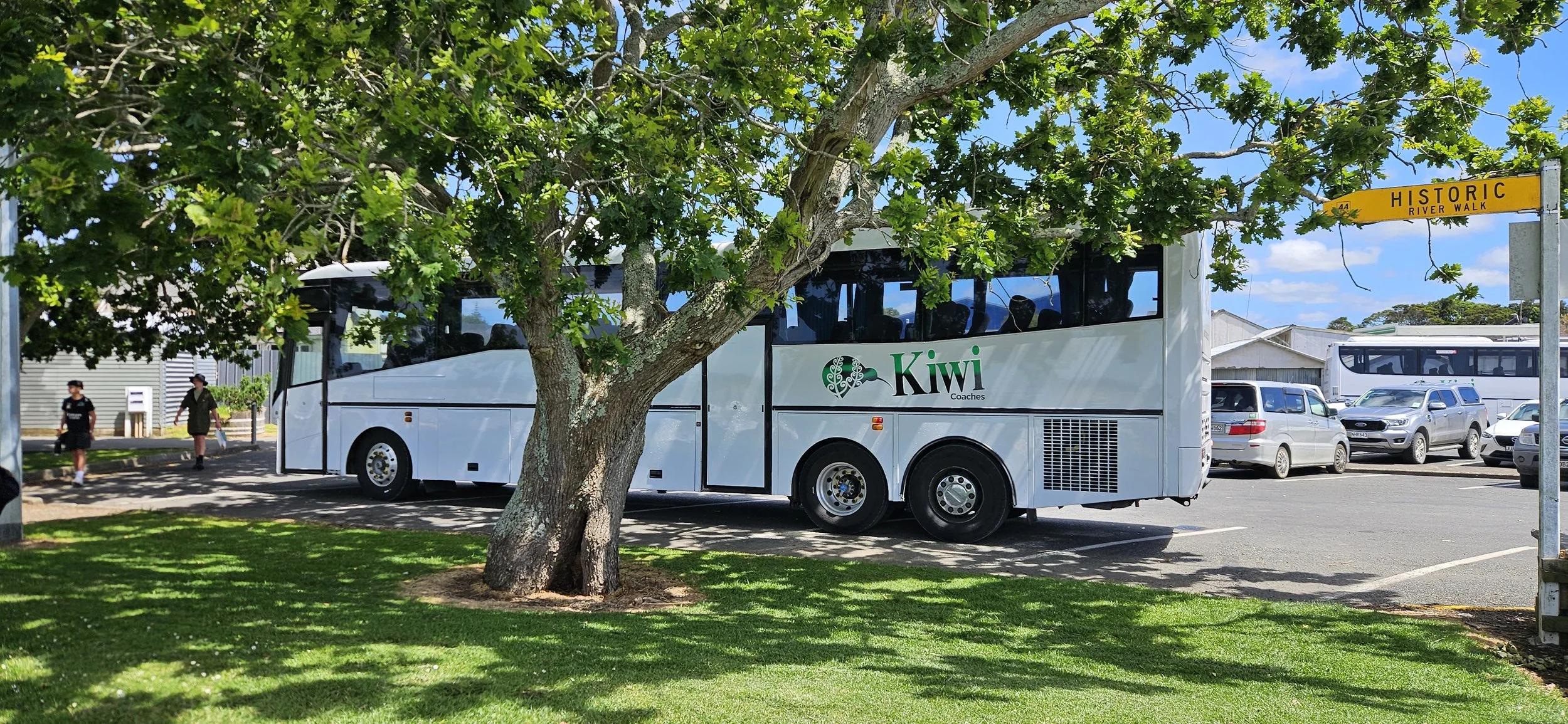 A white Kiwi Coaches bus is parked in a lot near a green tree with lush leaves. The scene is sunny with clear blue skies, and there are other vehicles and people in the background.