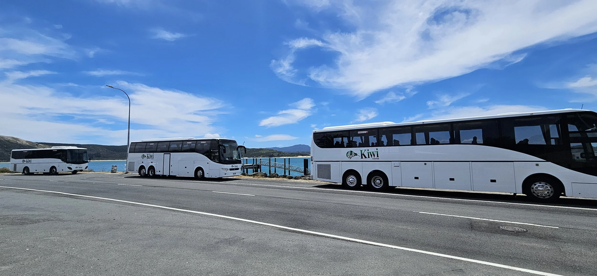 Three white buses parked along a seaside road with mountains and blue sky in the background. One bus has the logo 'Kiwi Coaches'.