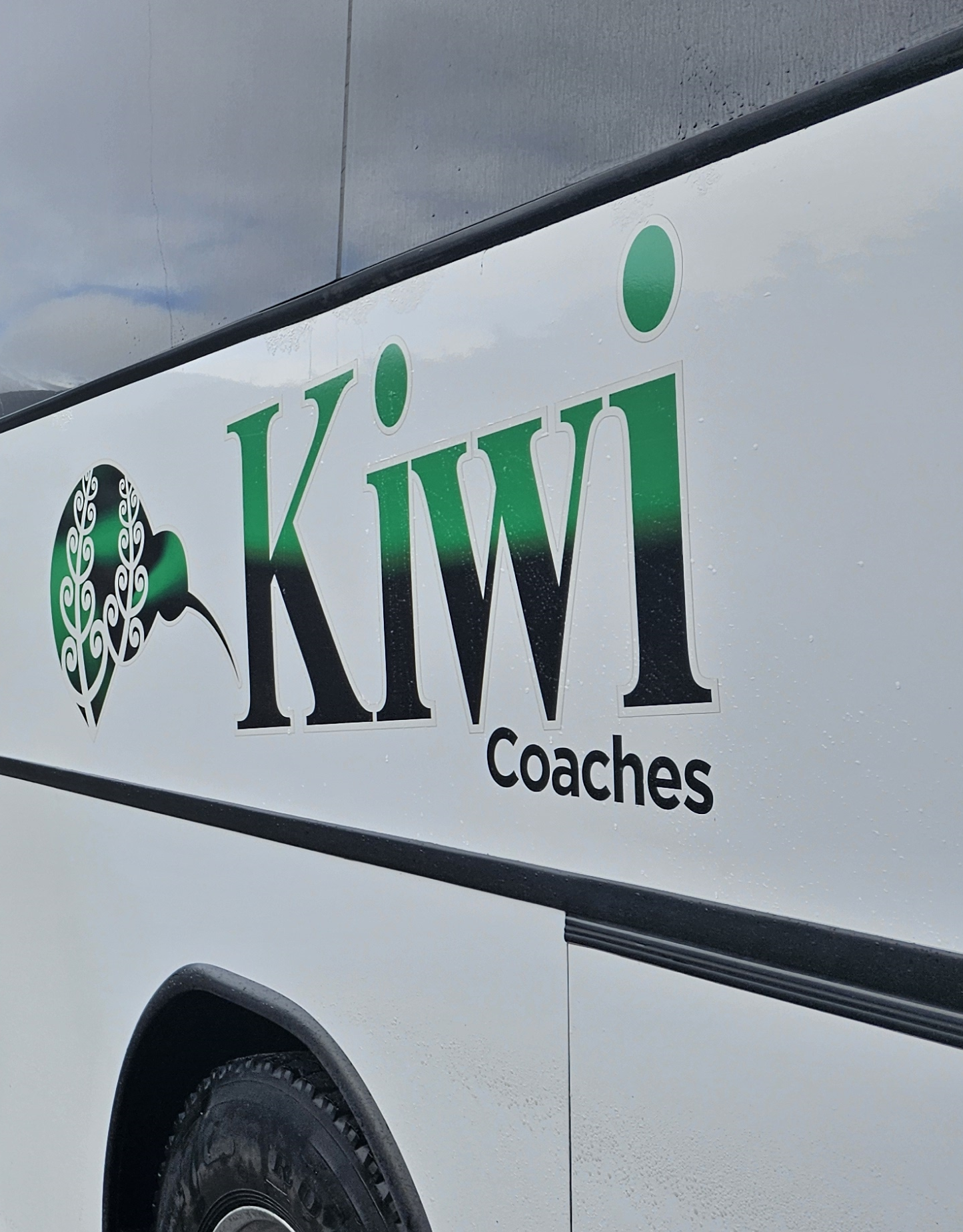 Group transport Wellington connecting North Island tours and events.