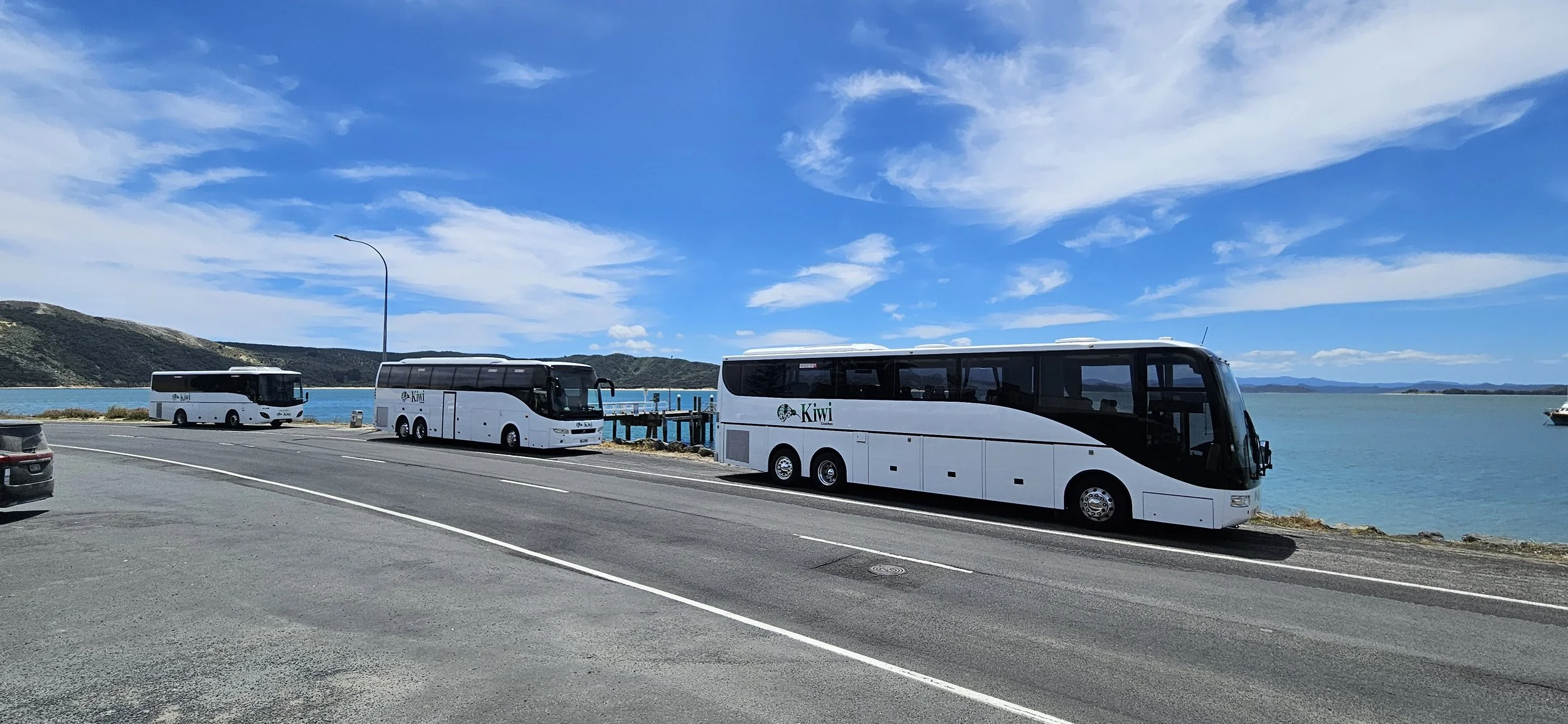 Three white Kiwi buses parked along a coastal road, with water and hills in the background under a blue sky with scattered clouds.