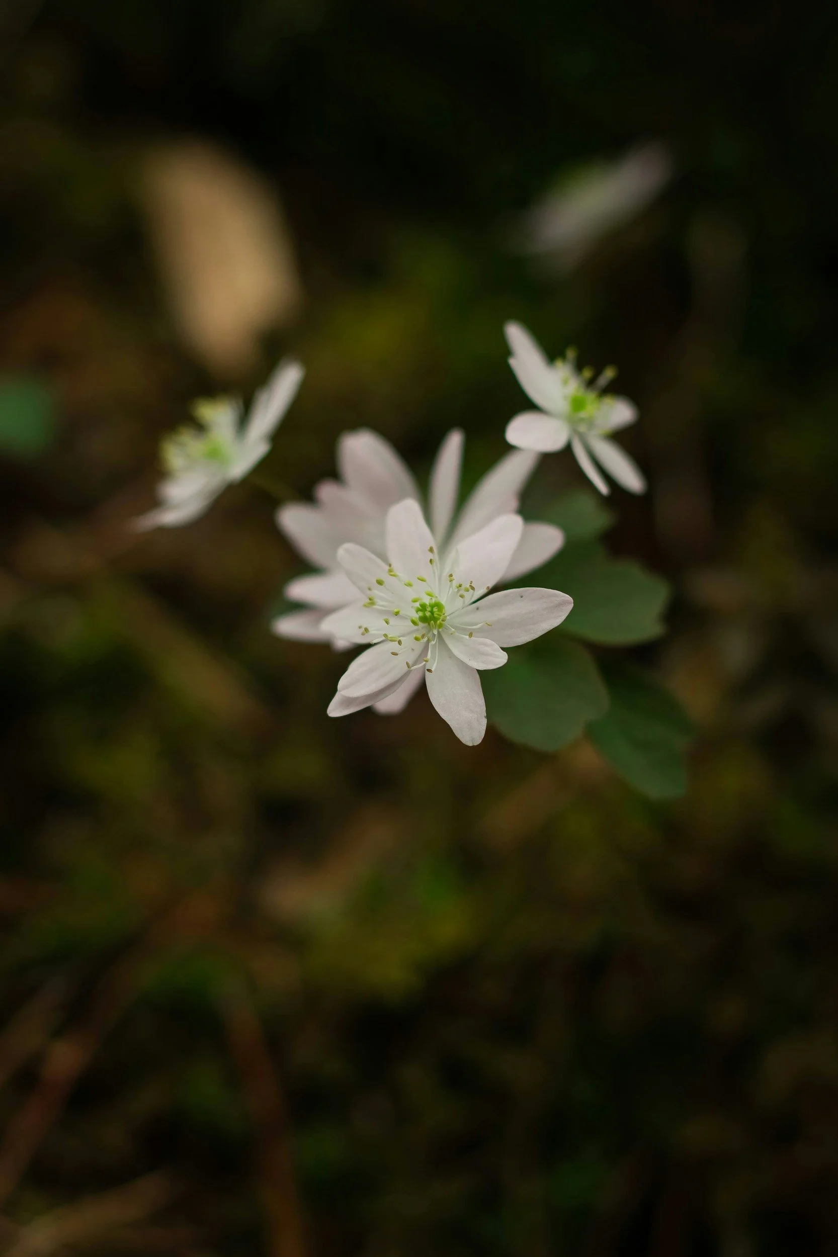 Let’s talk about stress.