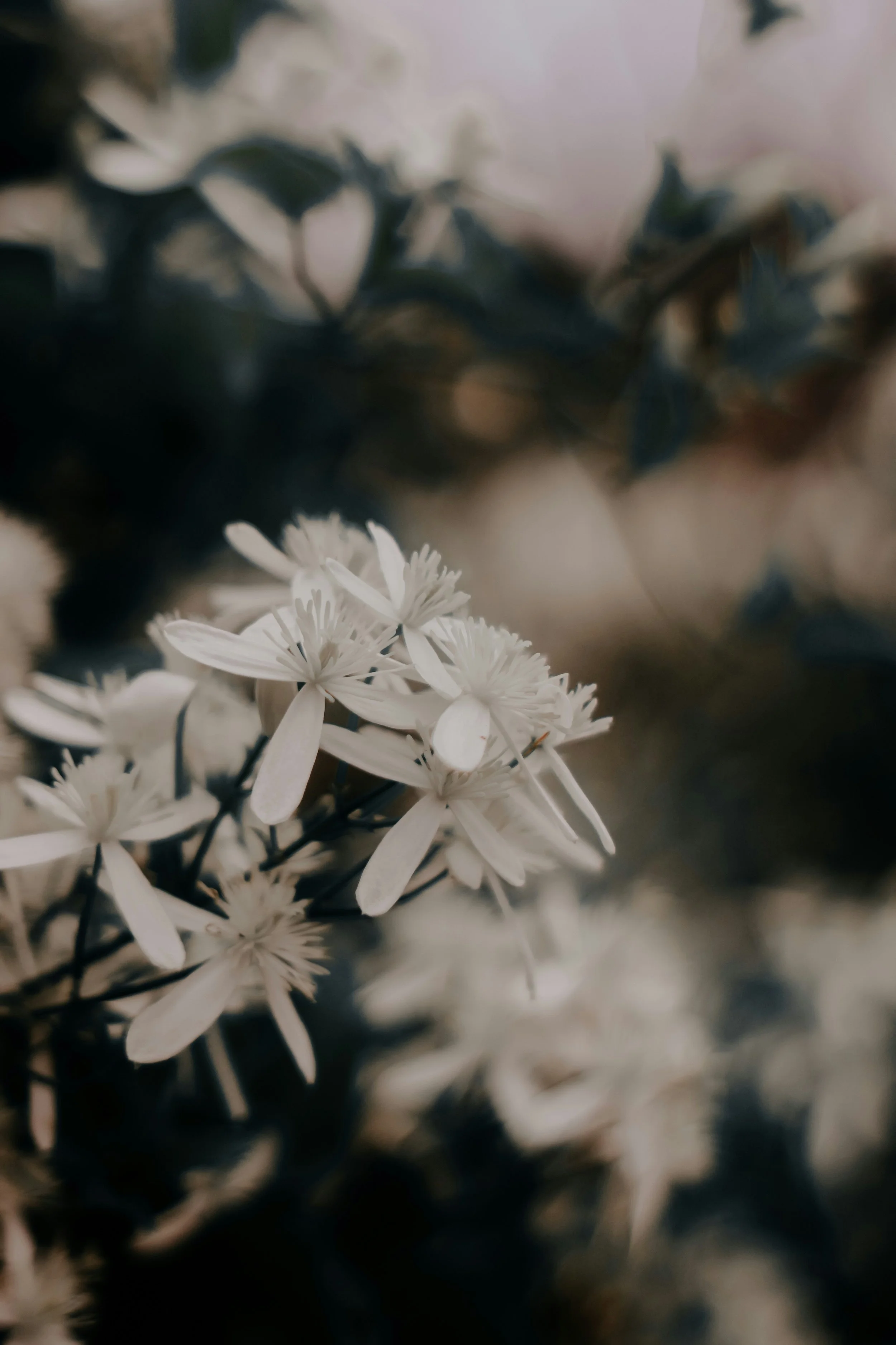 Emotional Release Deep Dive Healing and Workshop