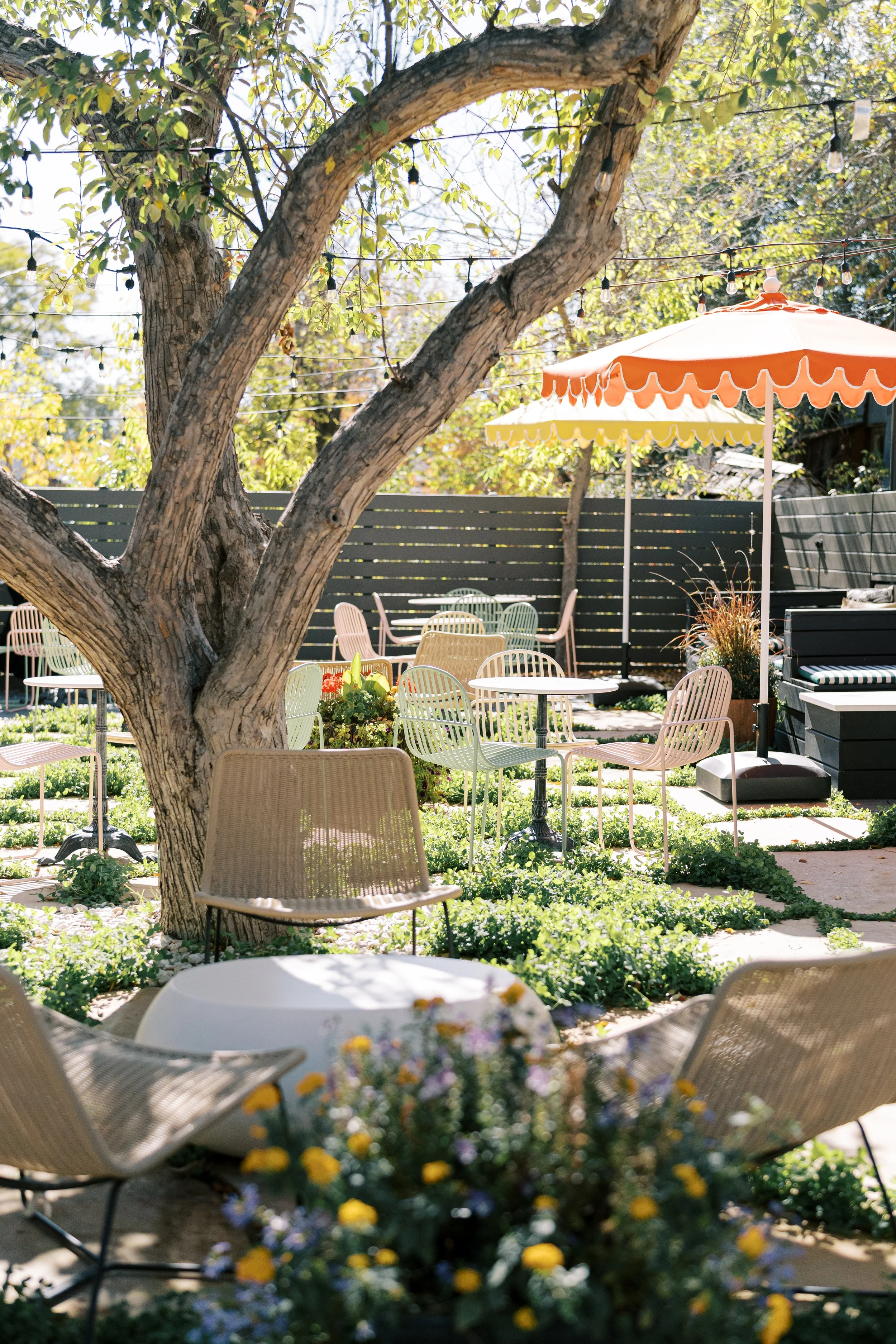 Foxglove Patio Lafayette