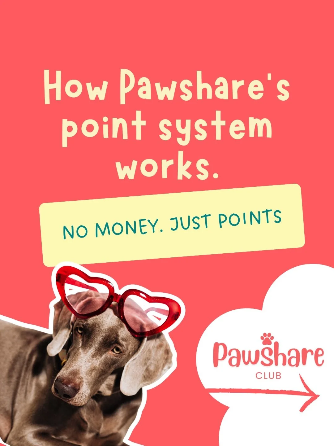 Wondering how Pawshare&rsquo;s points actually work? 🐶✨

It&rsquo;s simple:
Help a dog parent &rarr; Earn points
Need pet care &rarr; Use points
Don&rsquo;t have a dog? &rarr; Turn your points into gift cards or keep accumulating for the time you ge