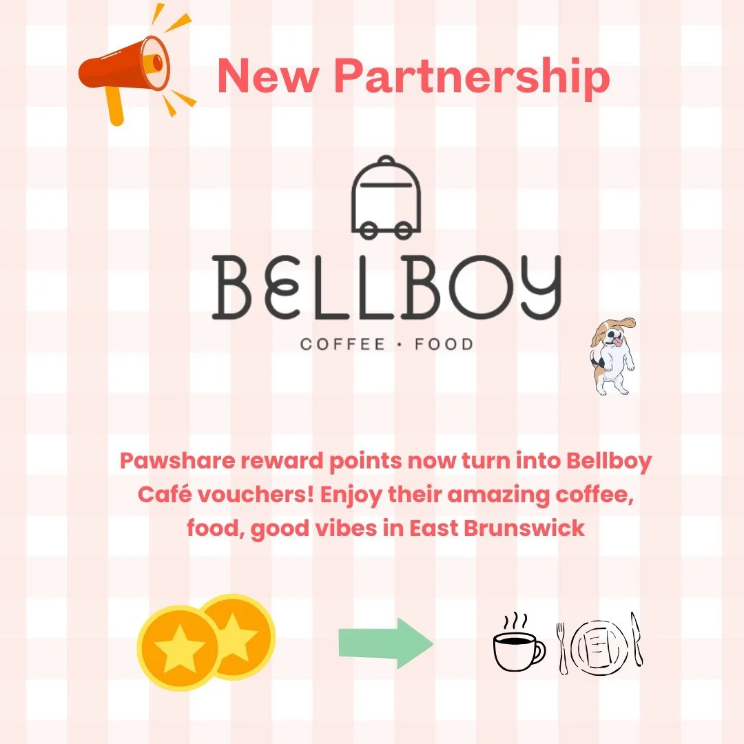 We just partnered with Bellboy Caf&eacute; ☕
This is what happens when community supports community 🤍
Pawshare points now turn into Bellboy Caf&eacute; vouchers
Enjoy their amazing coffee, food, good vibes in Brunswick

See bio
or

https://www.pawsh