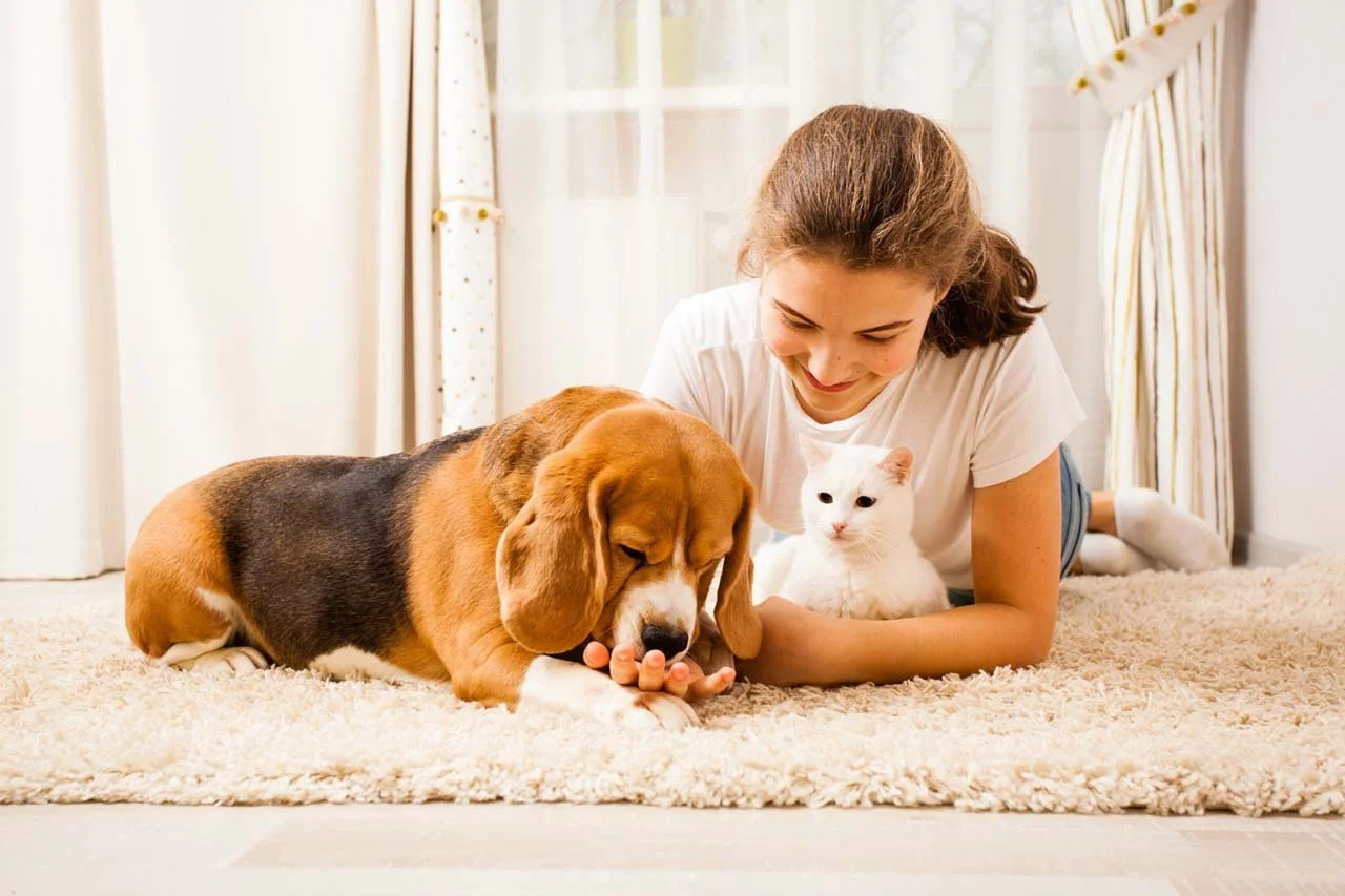 A cat on a girl's arm and a dog licking her hand.