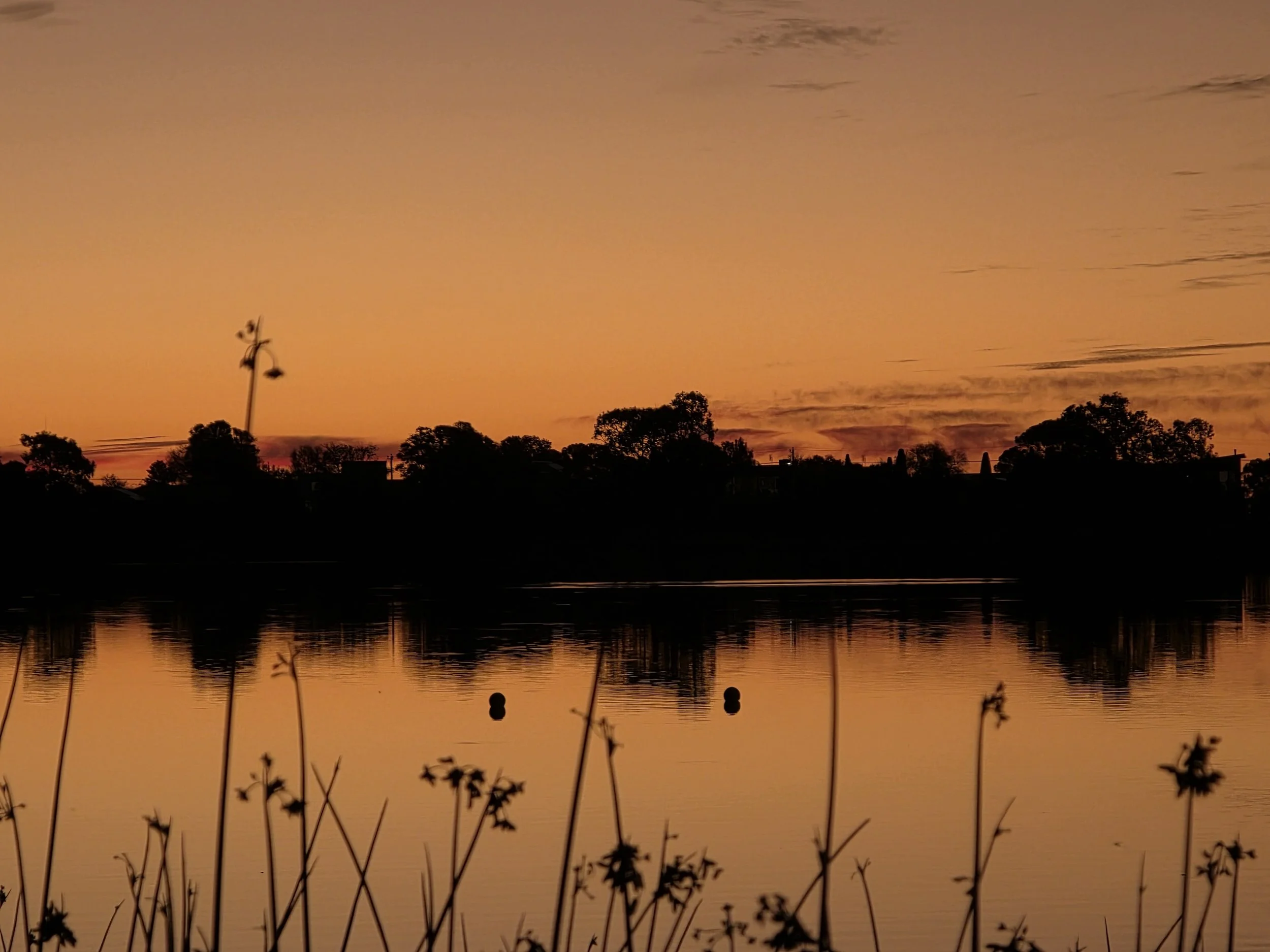 2. Annie Meadows "September Sunset #2"