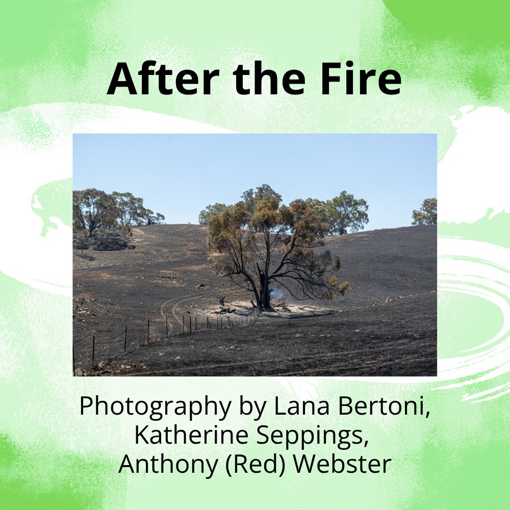 After the Fire.png