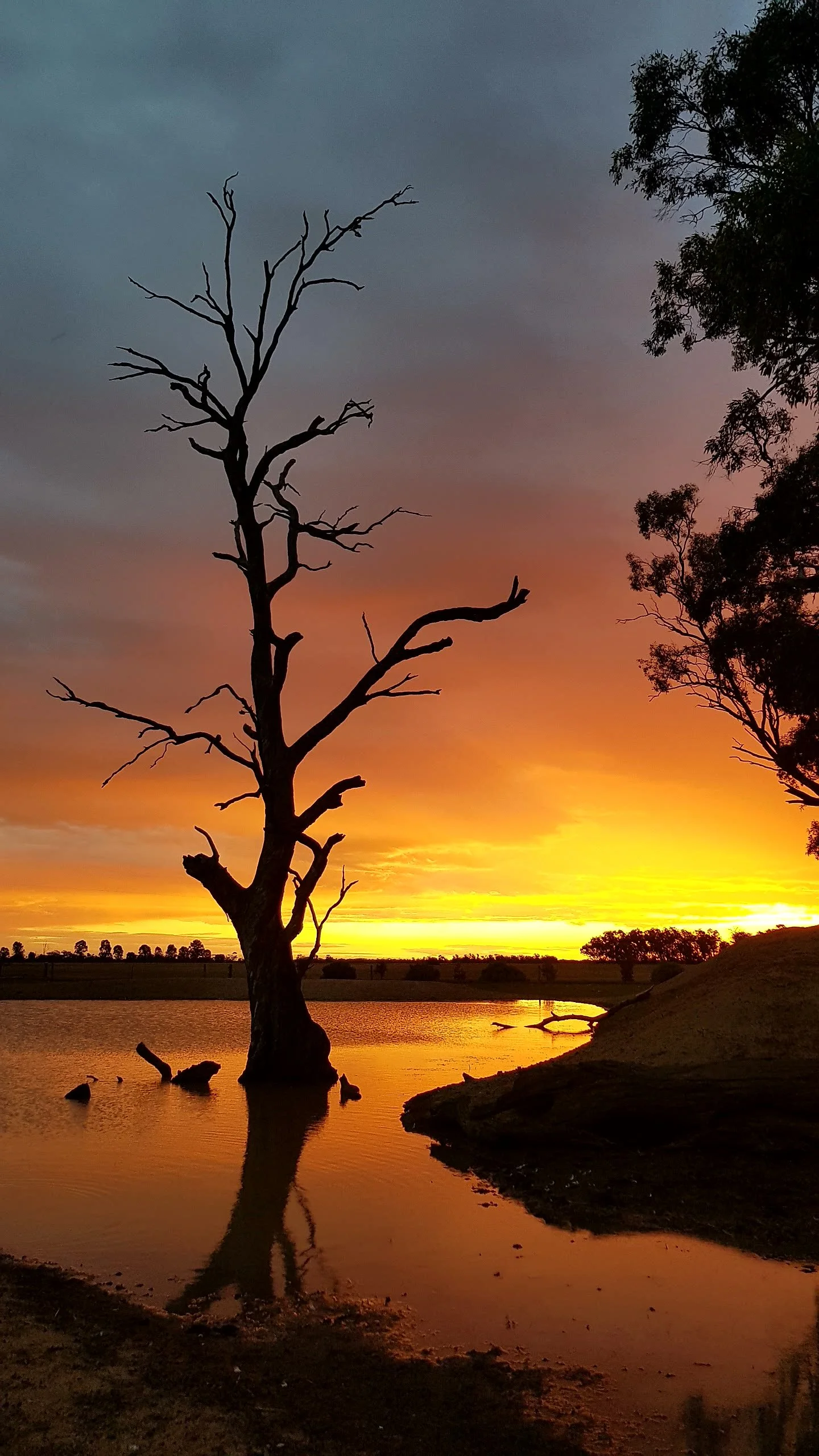 18. Helen O'Donoghue "Sunset on the dam"