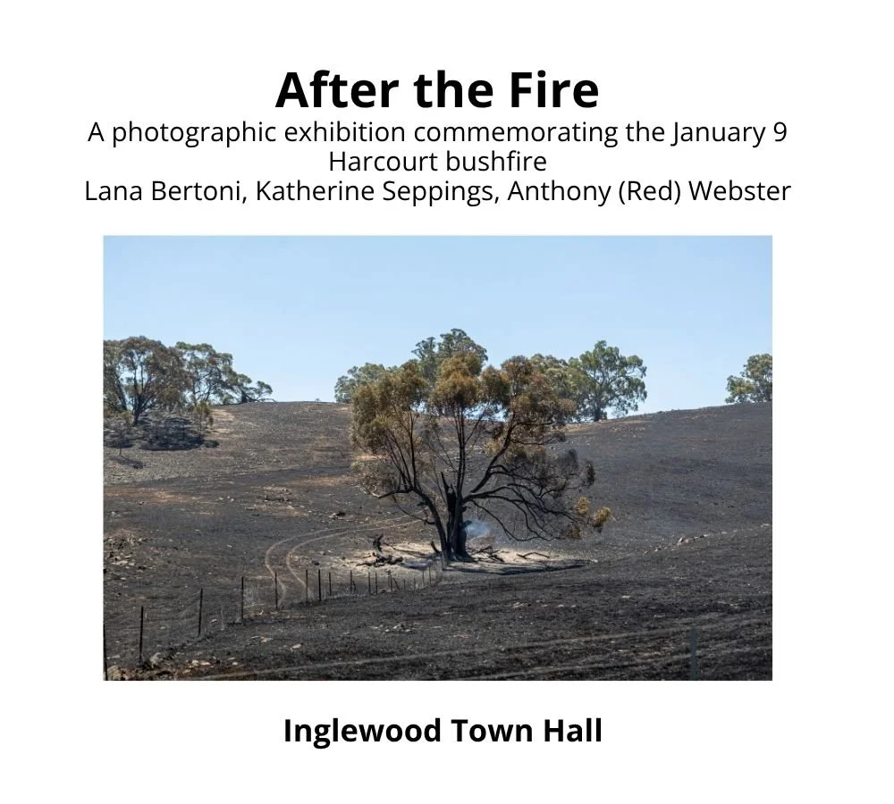 Inglewood Town Hall & Community House (1).jpg