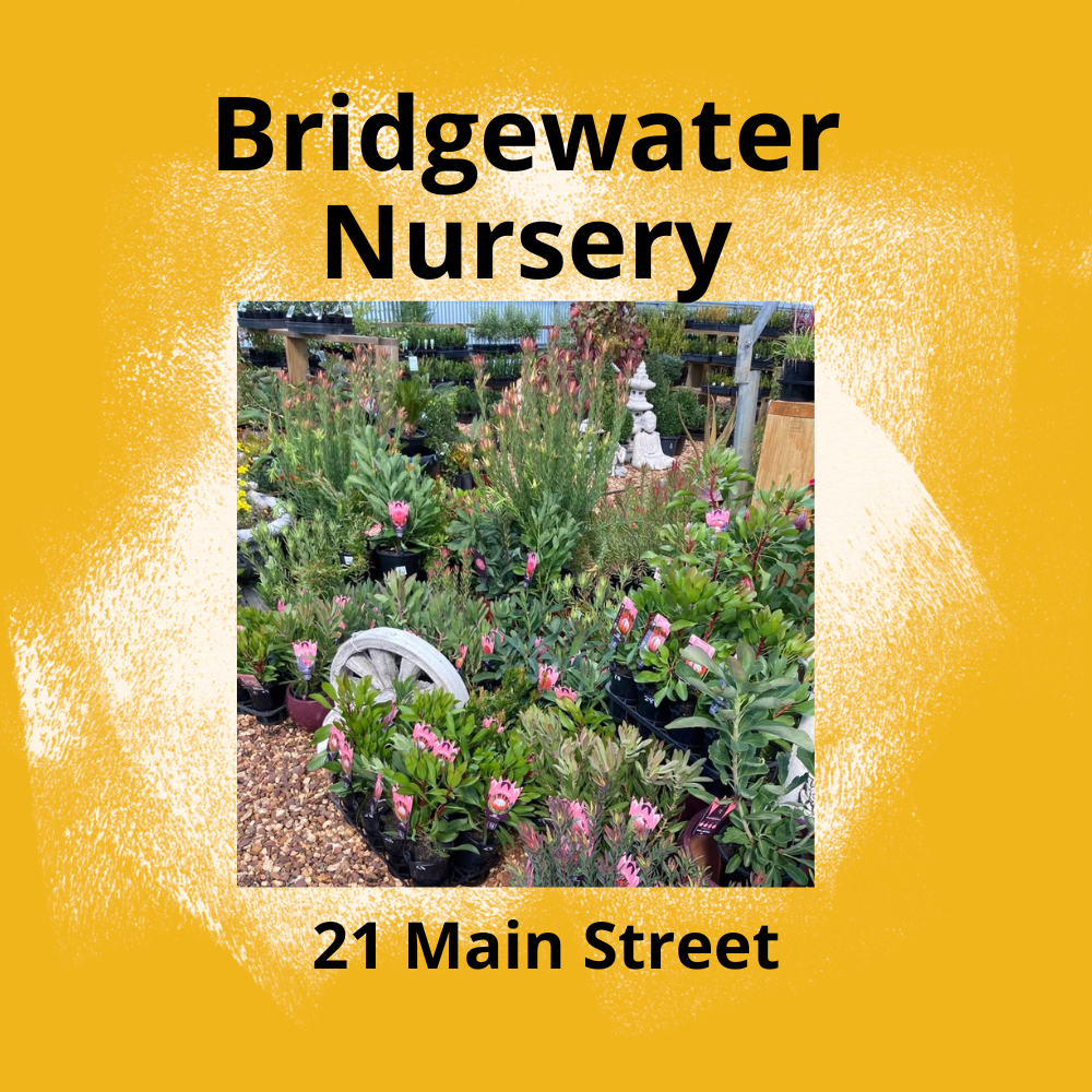 bridgewater nursery.png