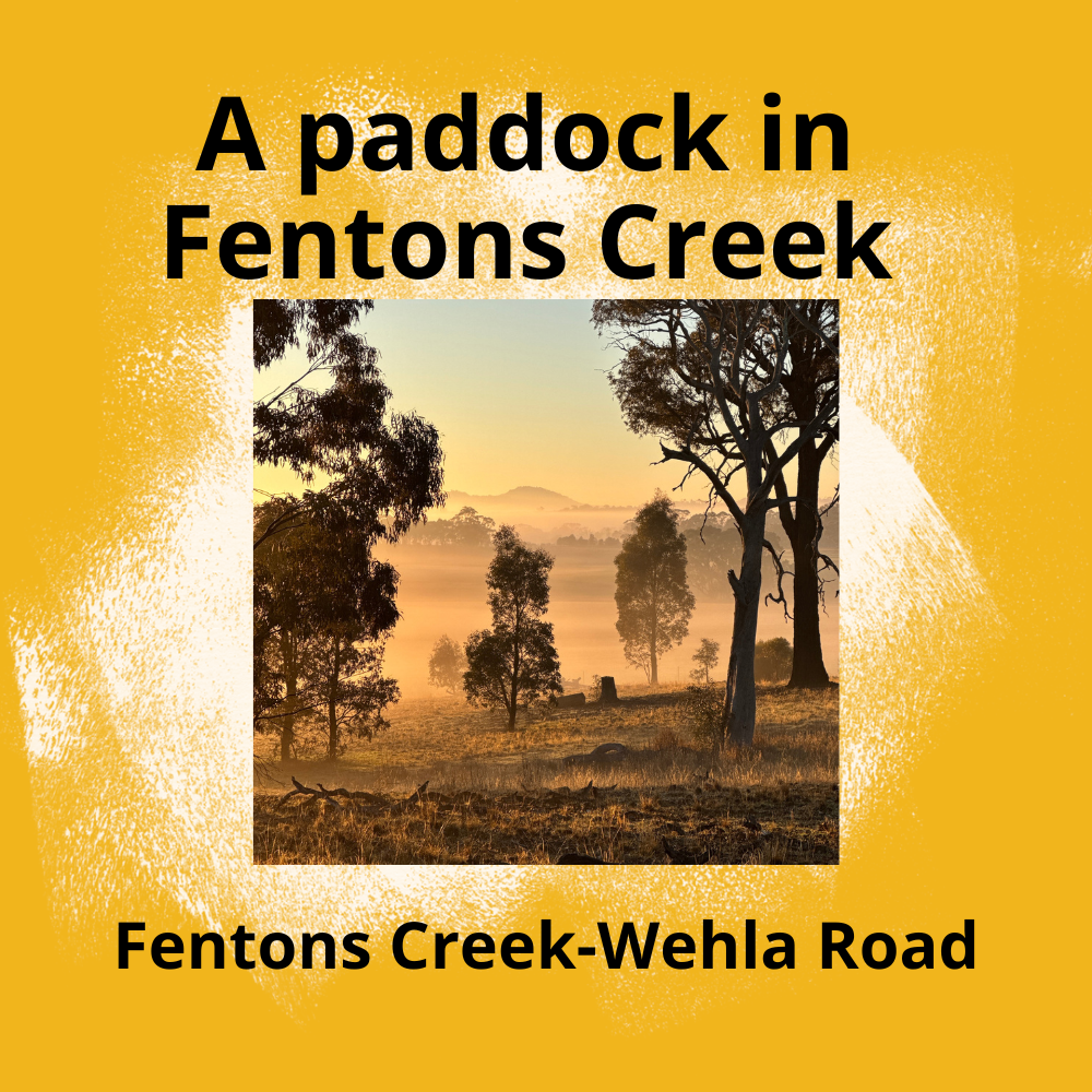 fentons Creek(16).png