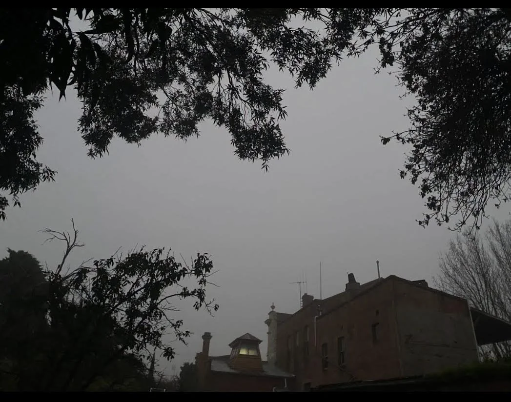 5. Catherine Norman "Inglewood Fog"