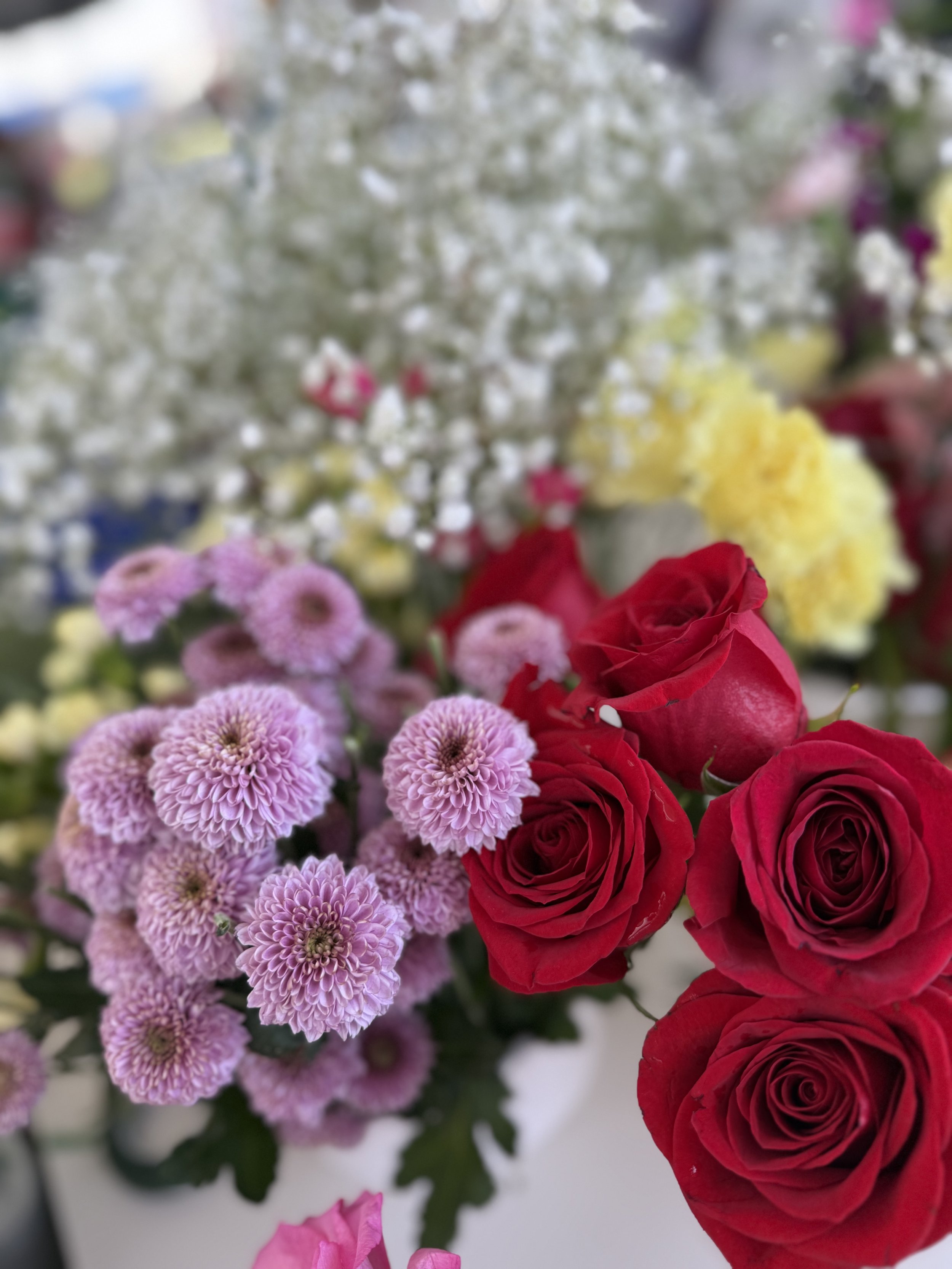 IMG_5385.jpeg